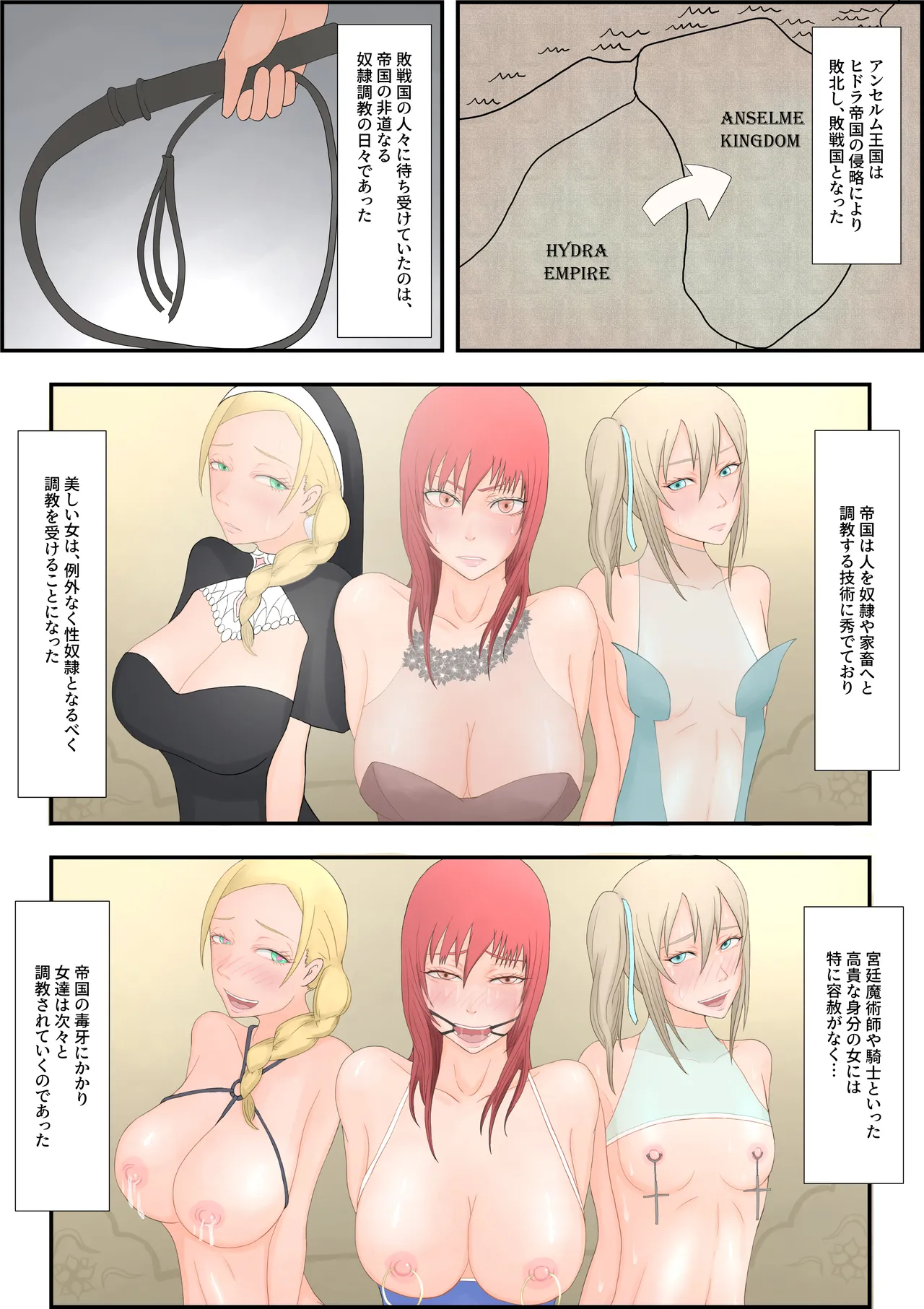 [Hydra777] oukoku katiku ka tyoukyou 图片编号 16