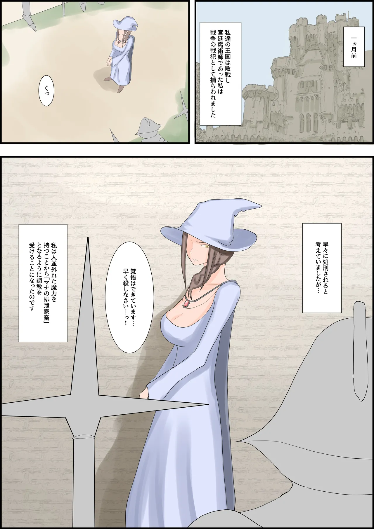 [Hydra777] oukoku katiku ka tyoukyou 图片编号 28