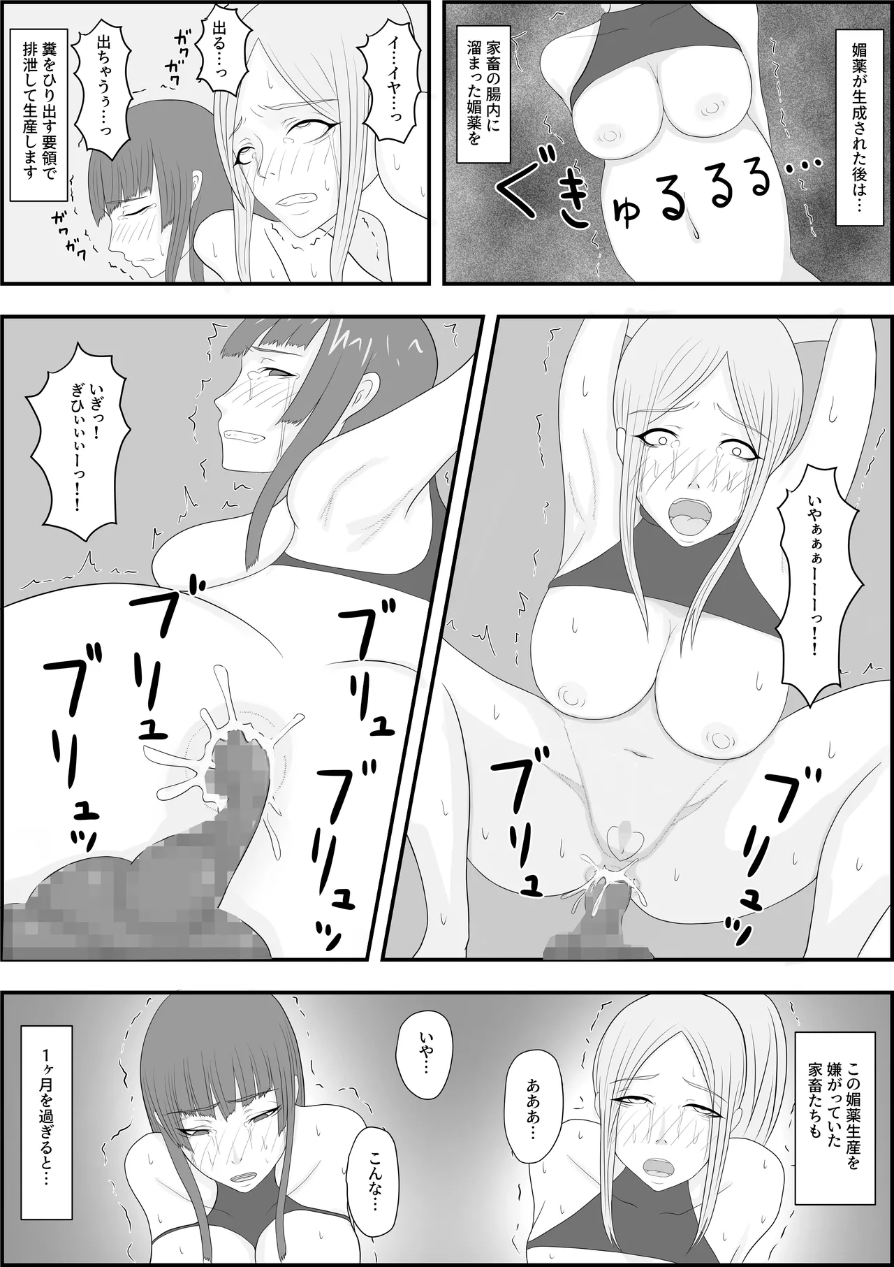 [Hydra777] oukoku katiku ka tyoukyou 图片编号 42