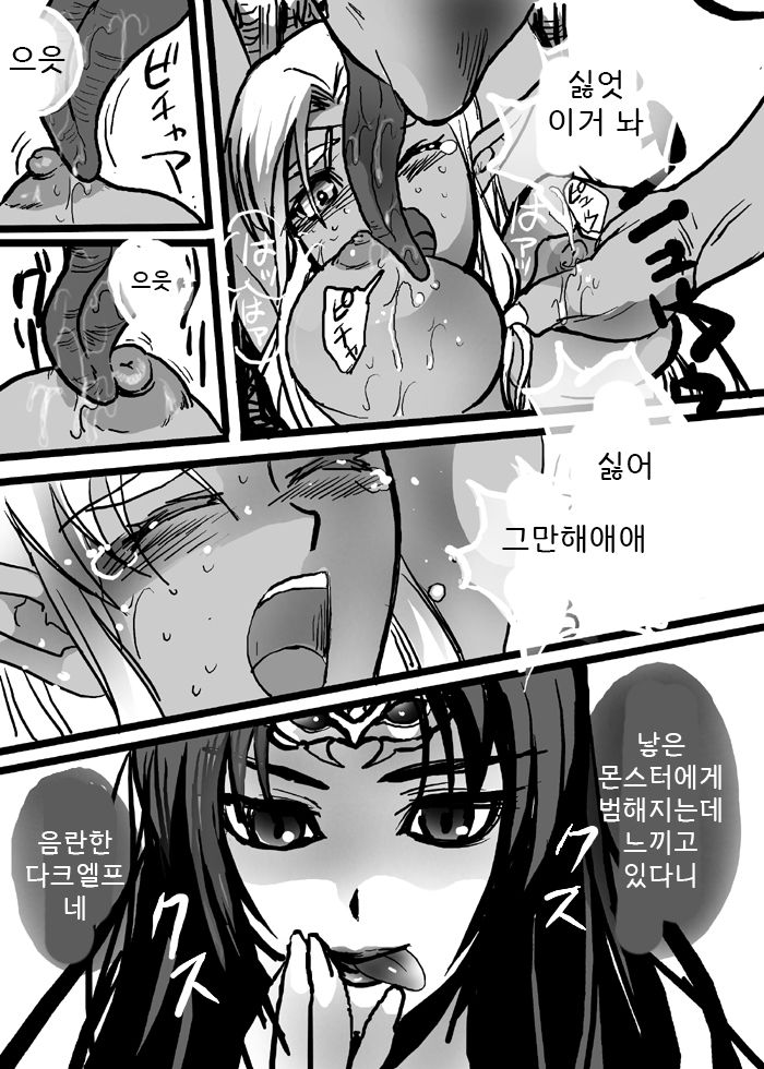 Ashy Elf - Record Of Lodoss War | 재의 엘프 - 로도스도 전기 [Korean] 图片编号 5