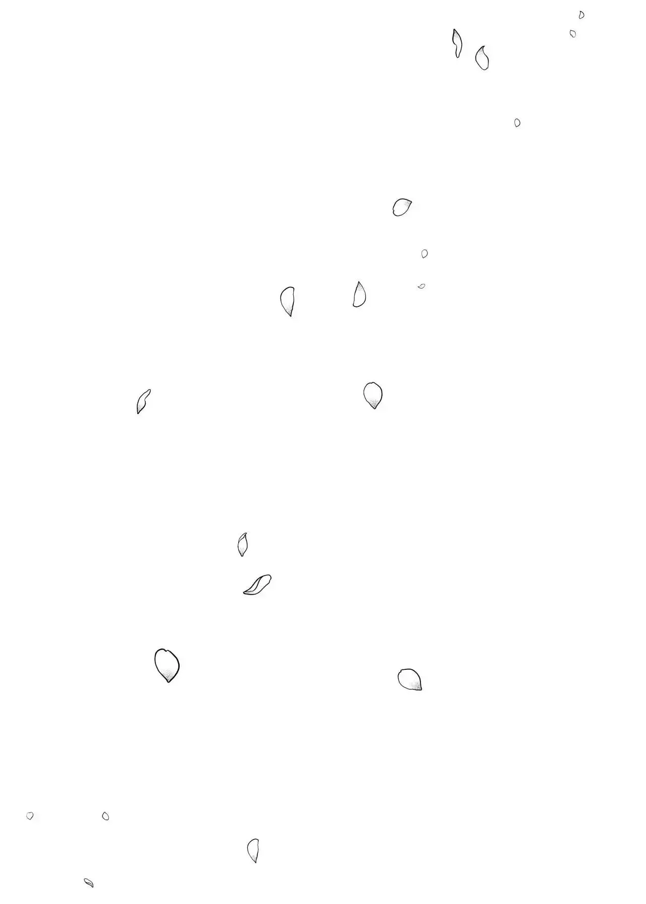 [Katsura Airi] Karami Zakari vol. 3 | Enredo vol. 3 [Spanish] [NekoCreme + Winter] [Decensored] Bildnummer 141