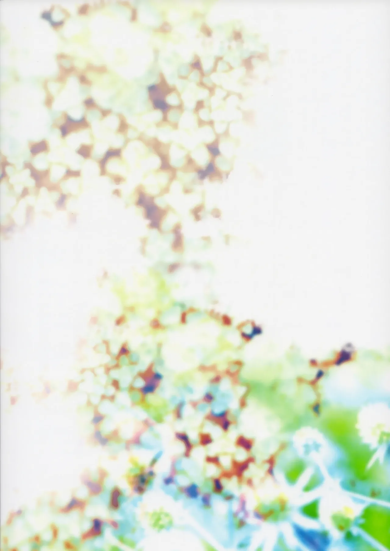 (Kemoket 5) [okett (Teko)] aikami [English] [EHCOVE] изображение № 32