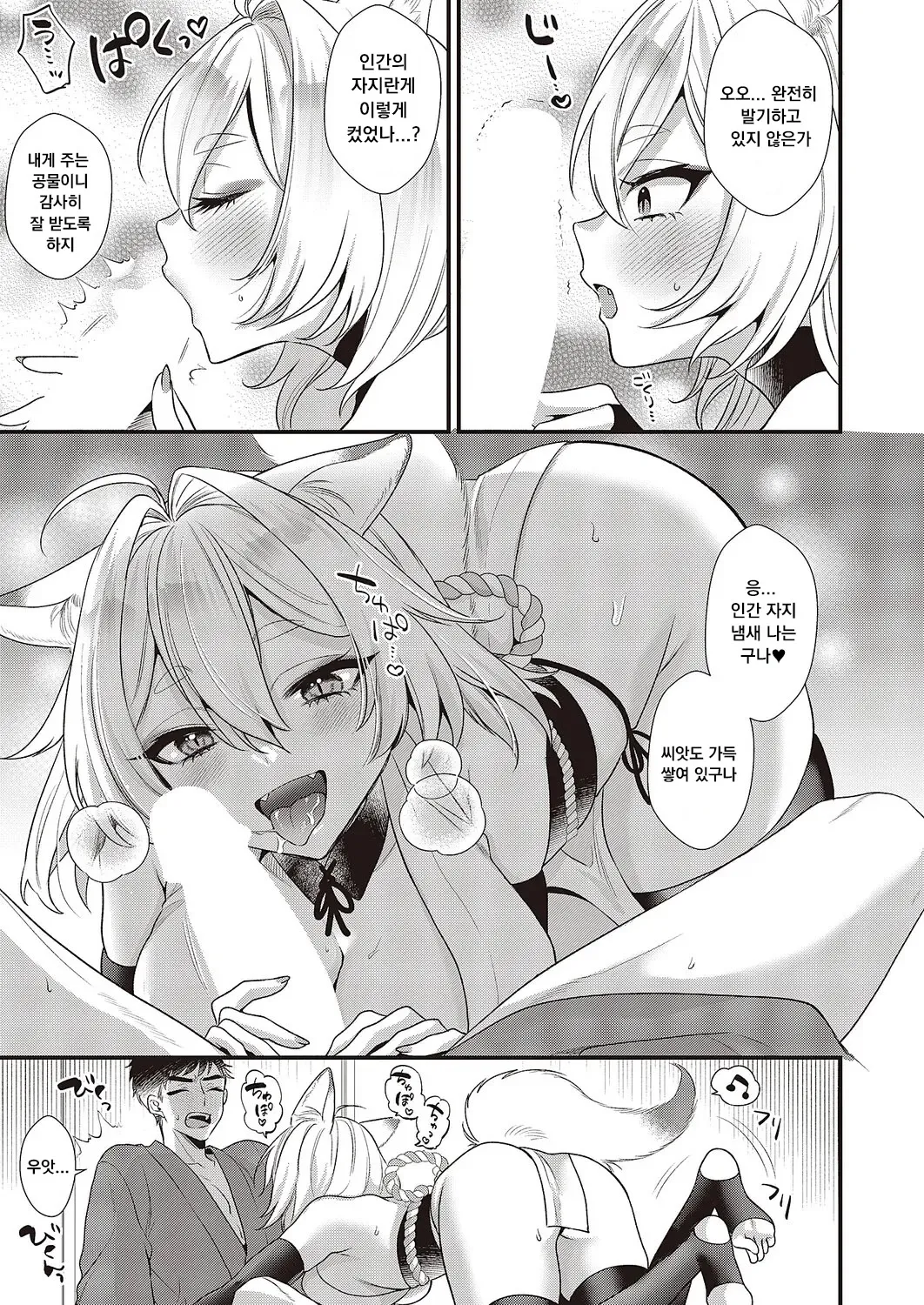 [Kisaki Noah]お狐様コンにちは  (COMIC ExE 65) [Korean] image number 7