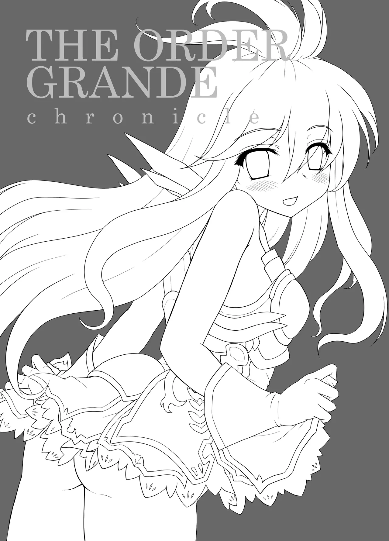 [Newtype Kenkyuujo (Kotowari)] THE ORDER GRANDE chronicle (Granblue Fantasy) [Digital] 图片编号 2