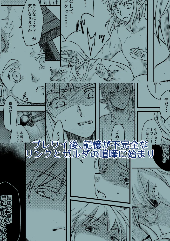 [Yoru wa mayu no teire] Hiraisu o daite[The Legend of Zelda) numero di immagine  7