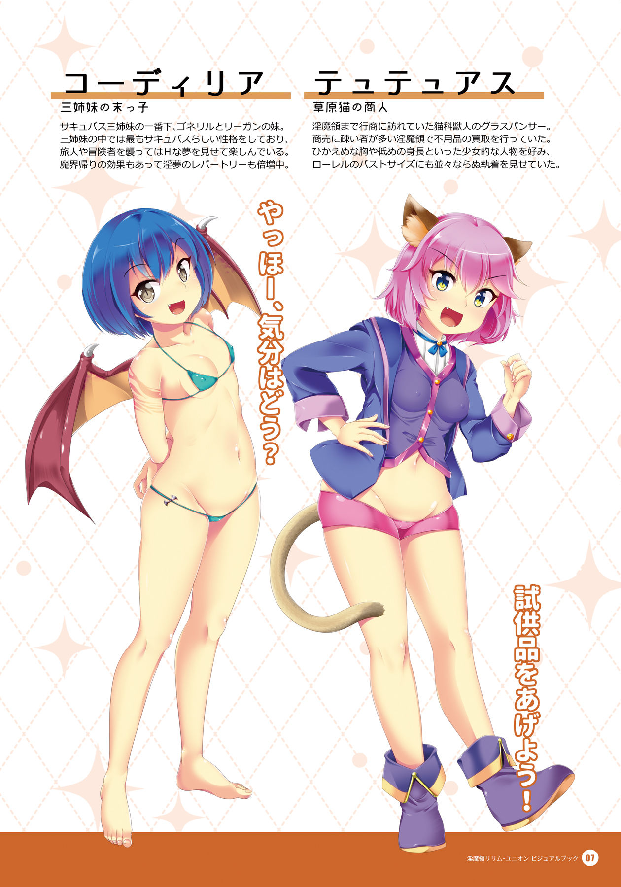 [Tsuki no Mizu Kikaku] Inmaryou Lilim Union - Official Visual Book 이미지 번호 6