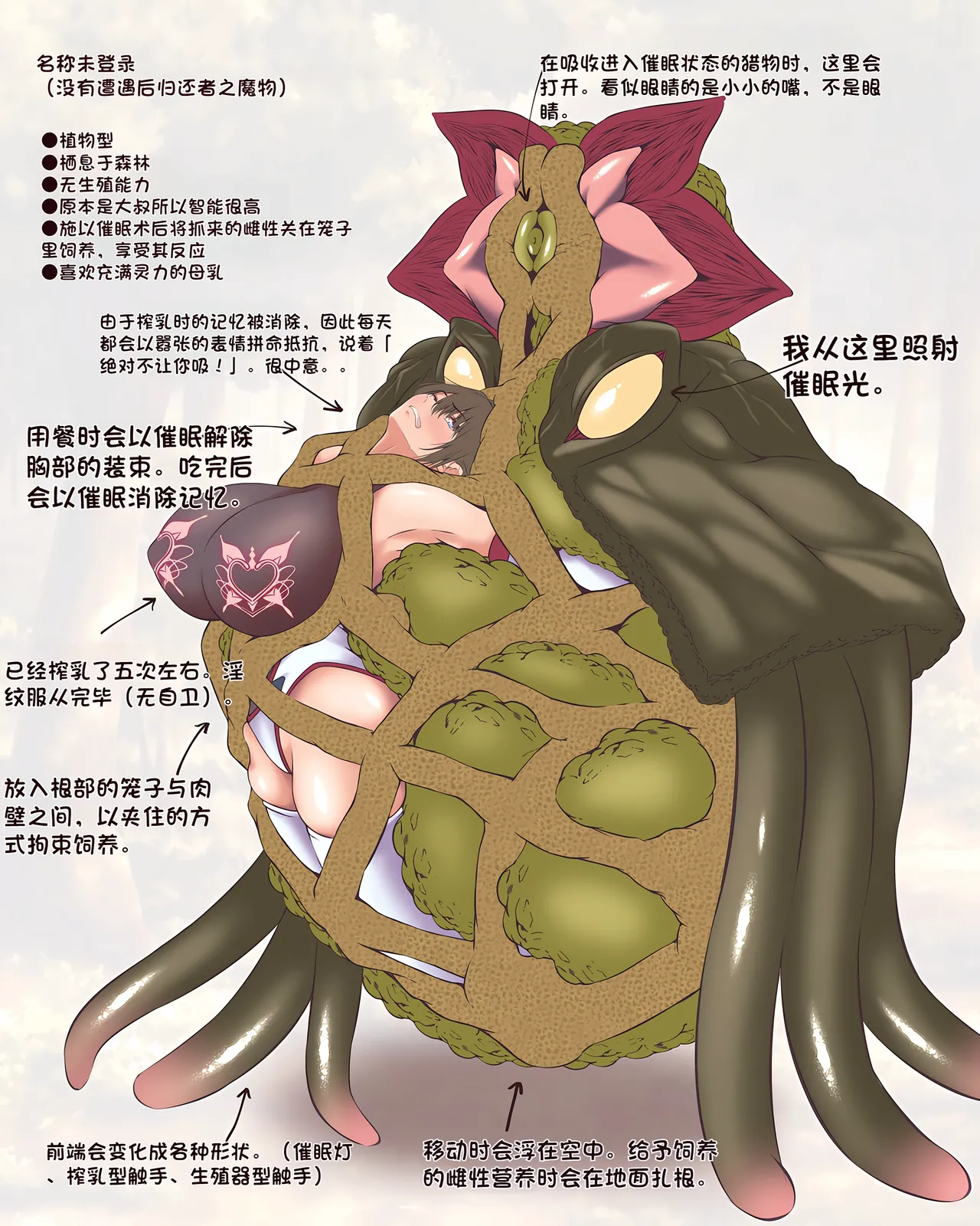 [QR] Setteiga 图片编号 17