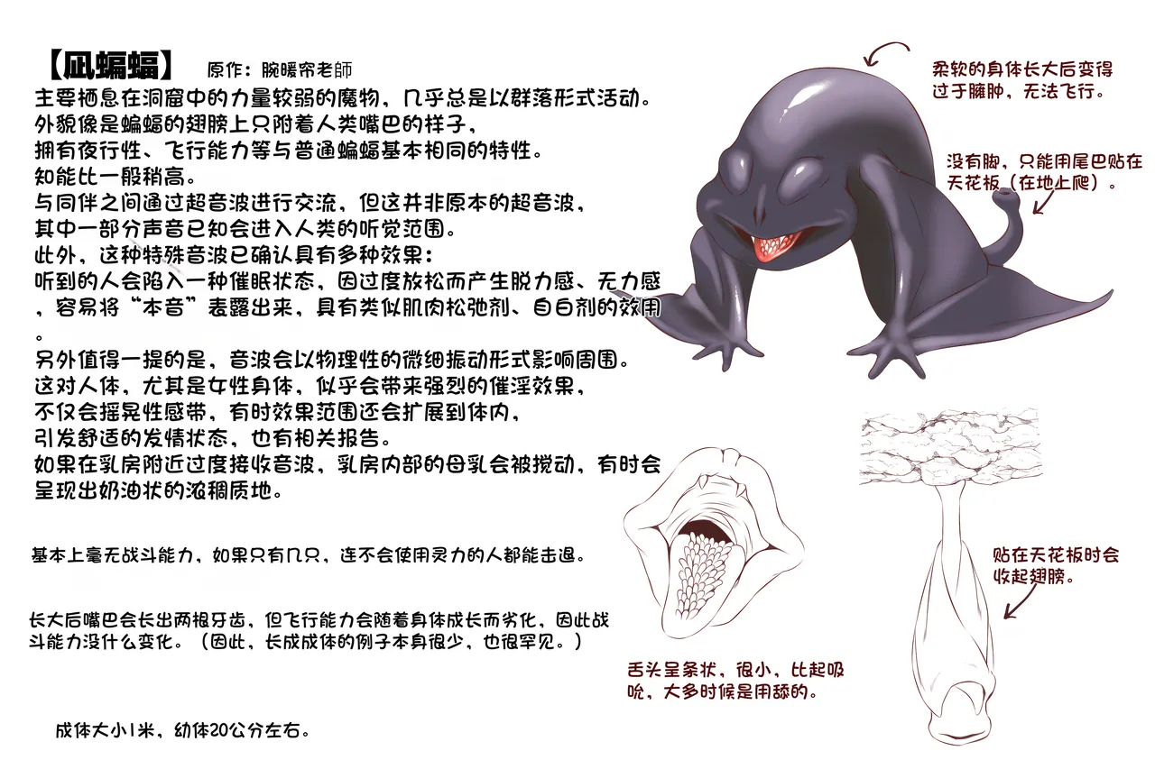 [QR] Setteiga 图片编号 22