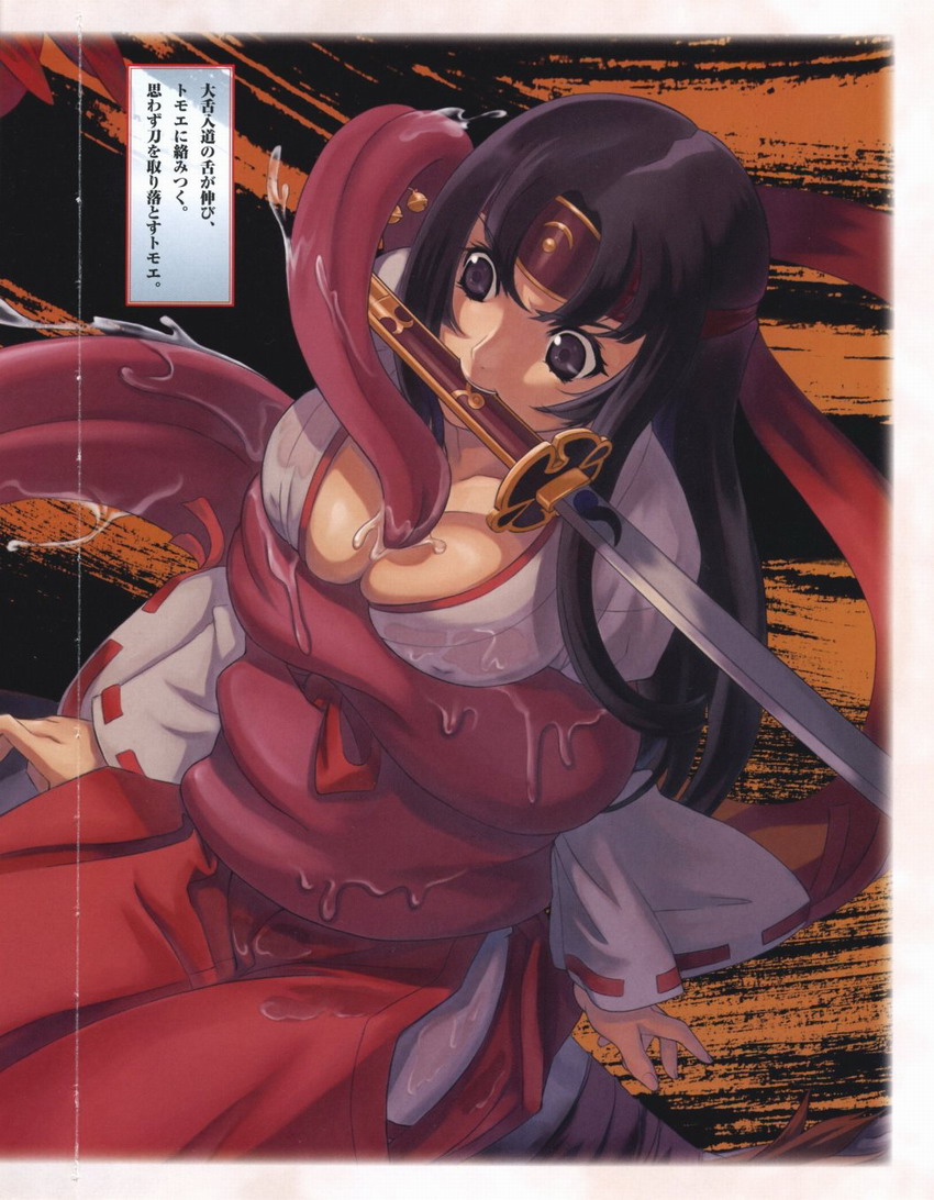 Queen's Blade Tomoe Collection numero di immagine  10
