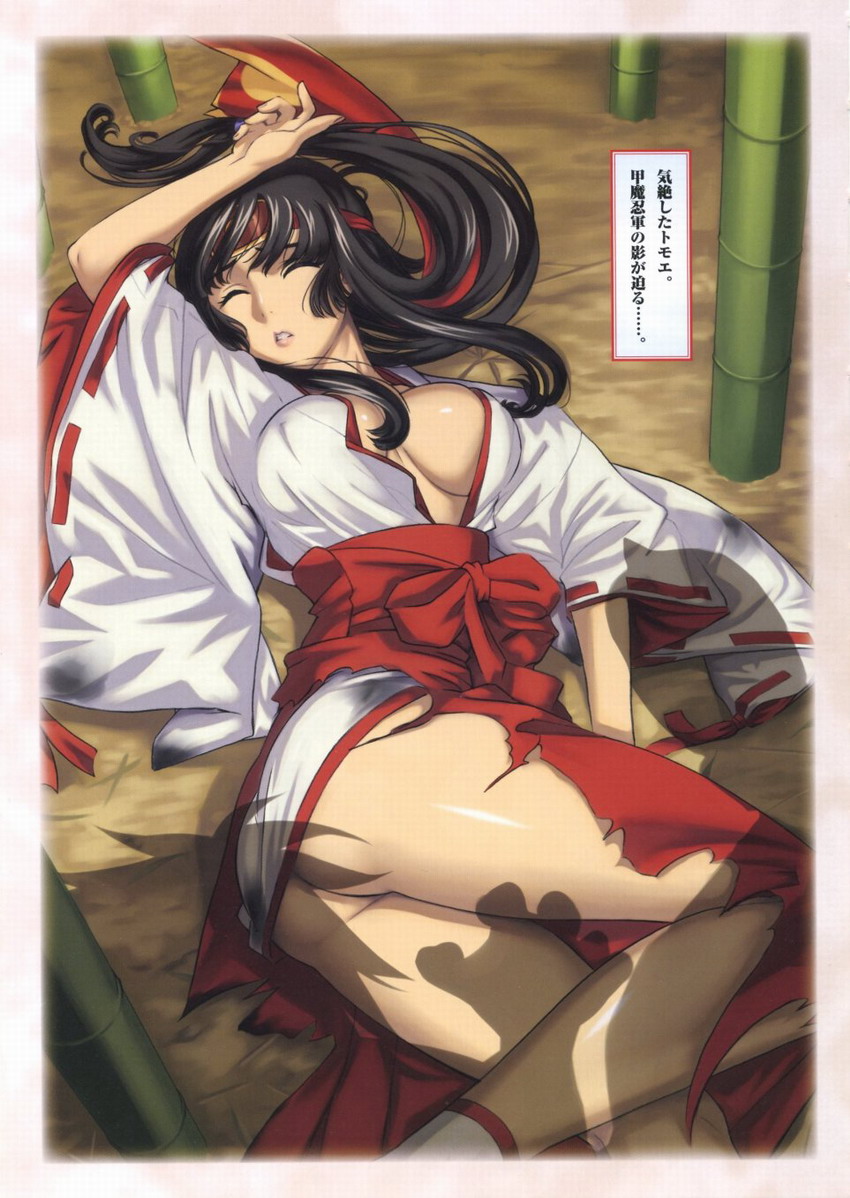 Queen's Blade Tomoe Collection numero di immagine  12