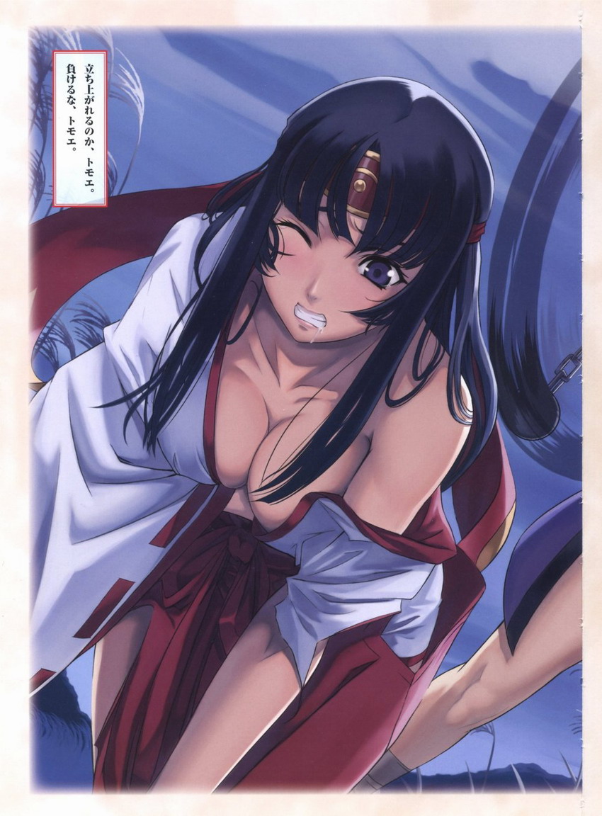 Queen's Blade Tomoe Collection numero di immagine  14