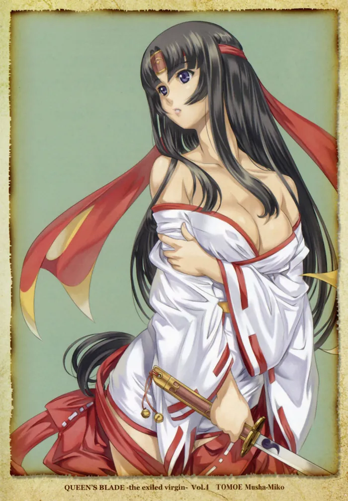 Queen's Blade Tomoe Collection numero di immagine  27