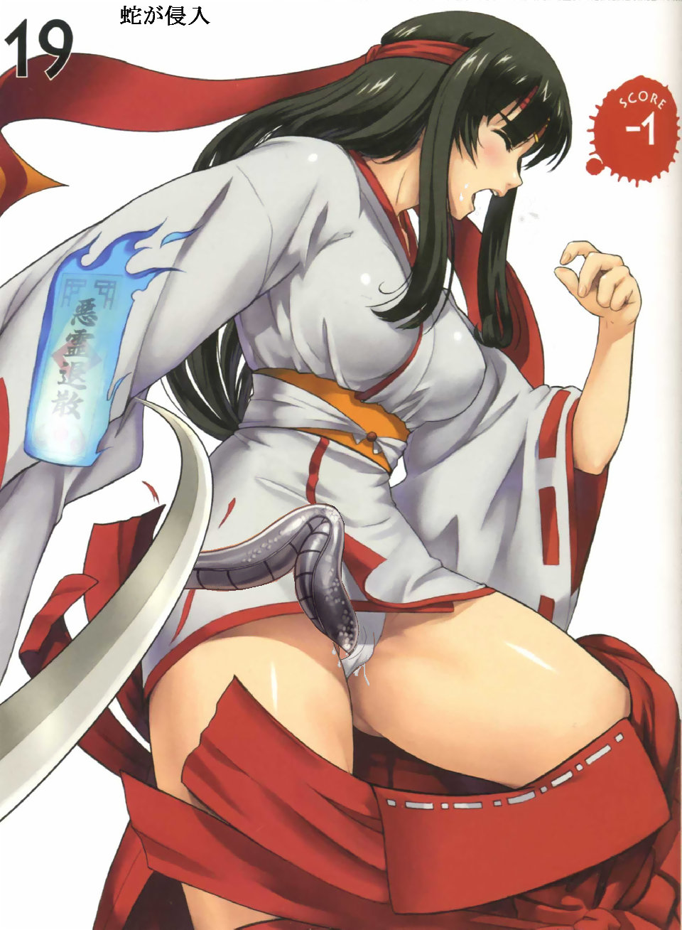 Queen's Blade Tomoe Collection numero di immagine  78