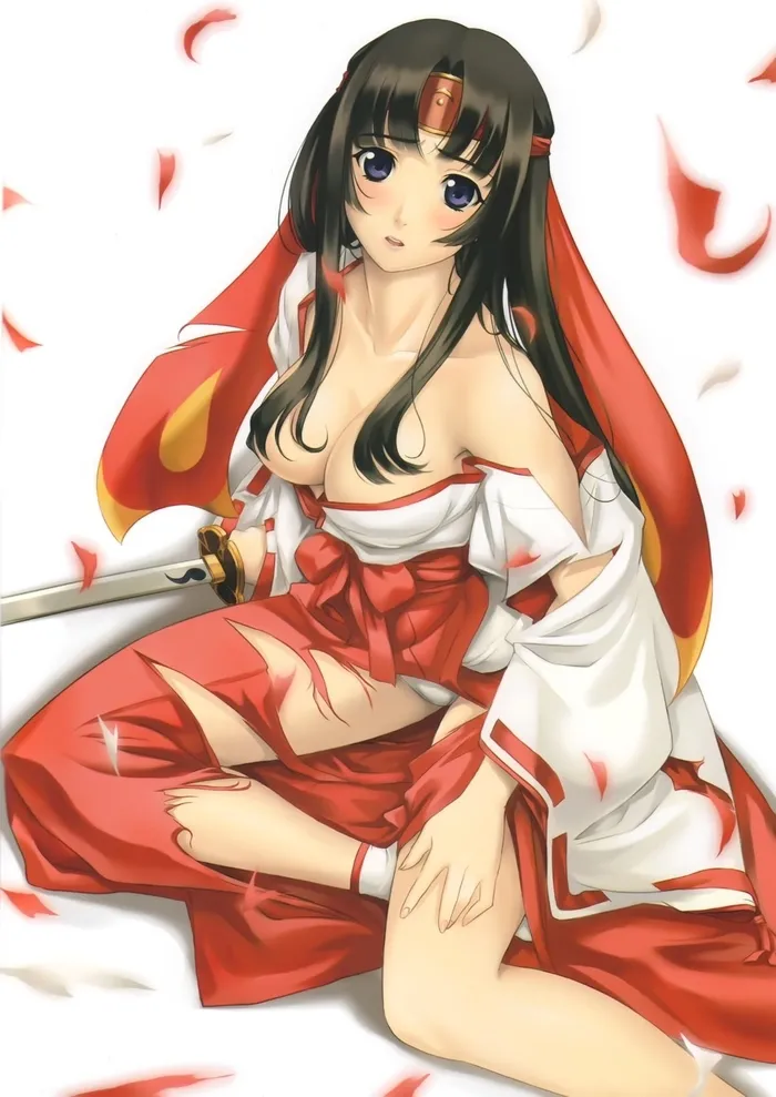 Queen's Blade Tomoe Collection numero di immagine  95