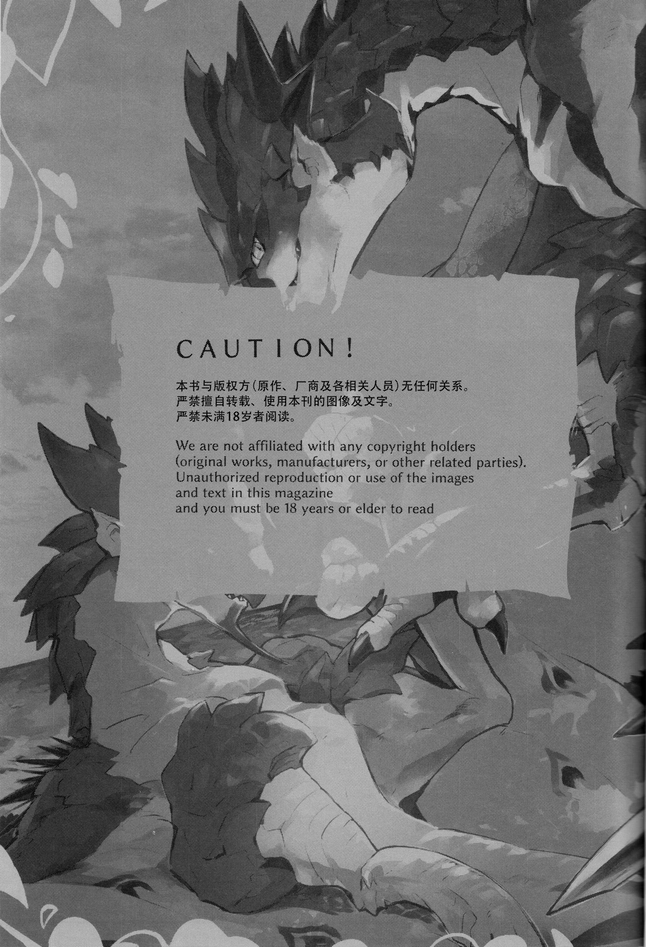 (C105) [Tsuru] The breath for xxx (Monster Hunter) [Chinese] [ZX个人汉化] Bildnummer 2