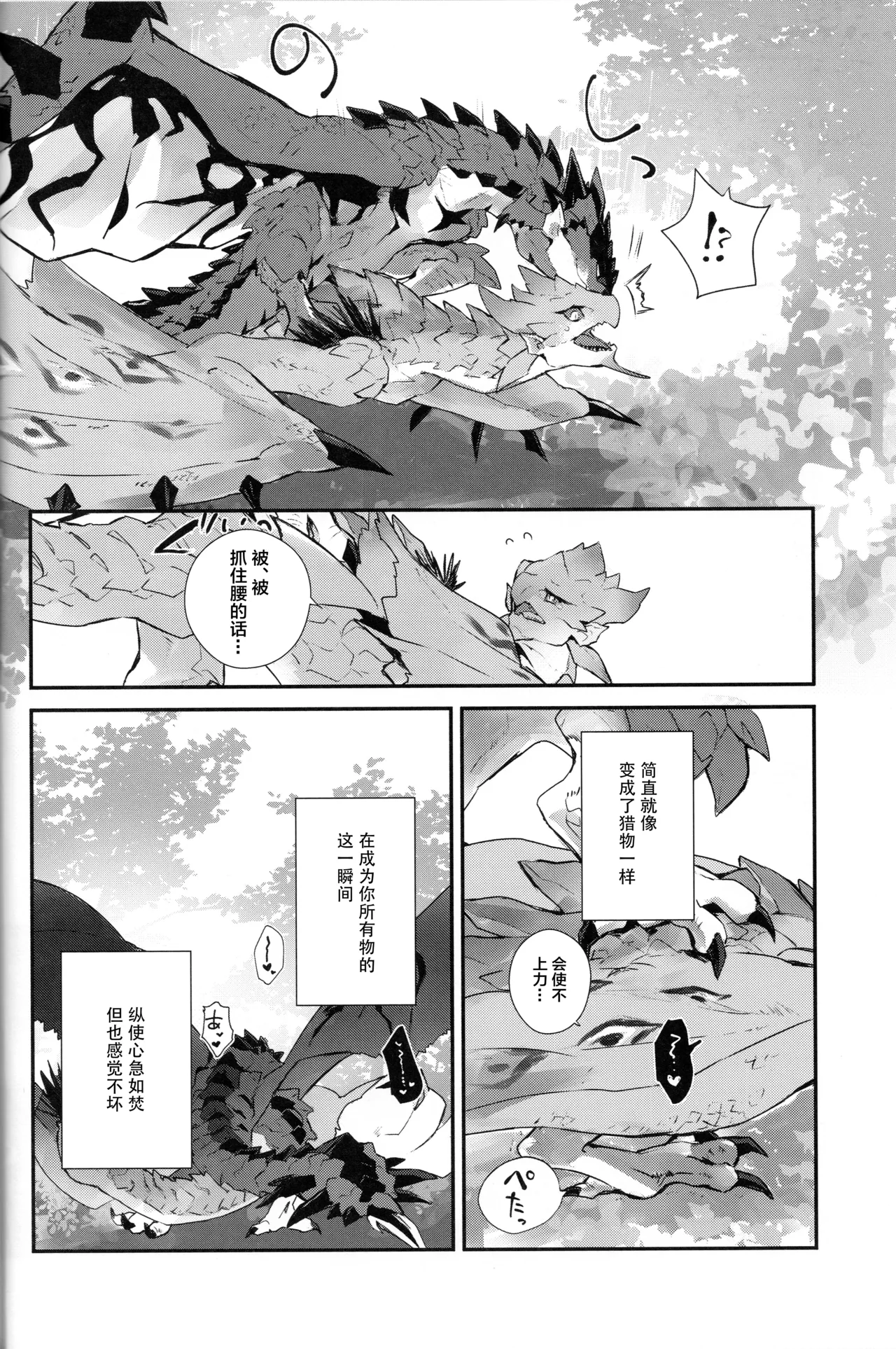 (C105) [Tsuru] The breath for xxx (Monster Hunter) [Chinese] [ZX个人汉化] Bildnummer 10