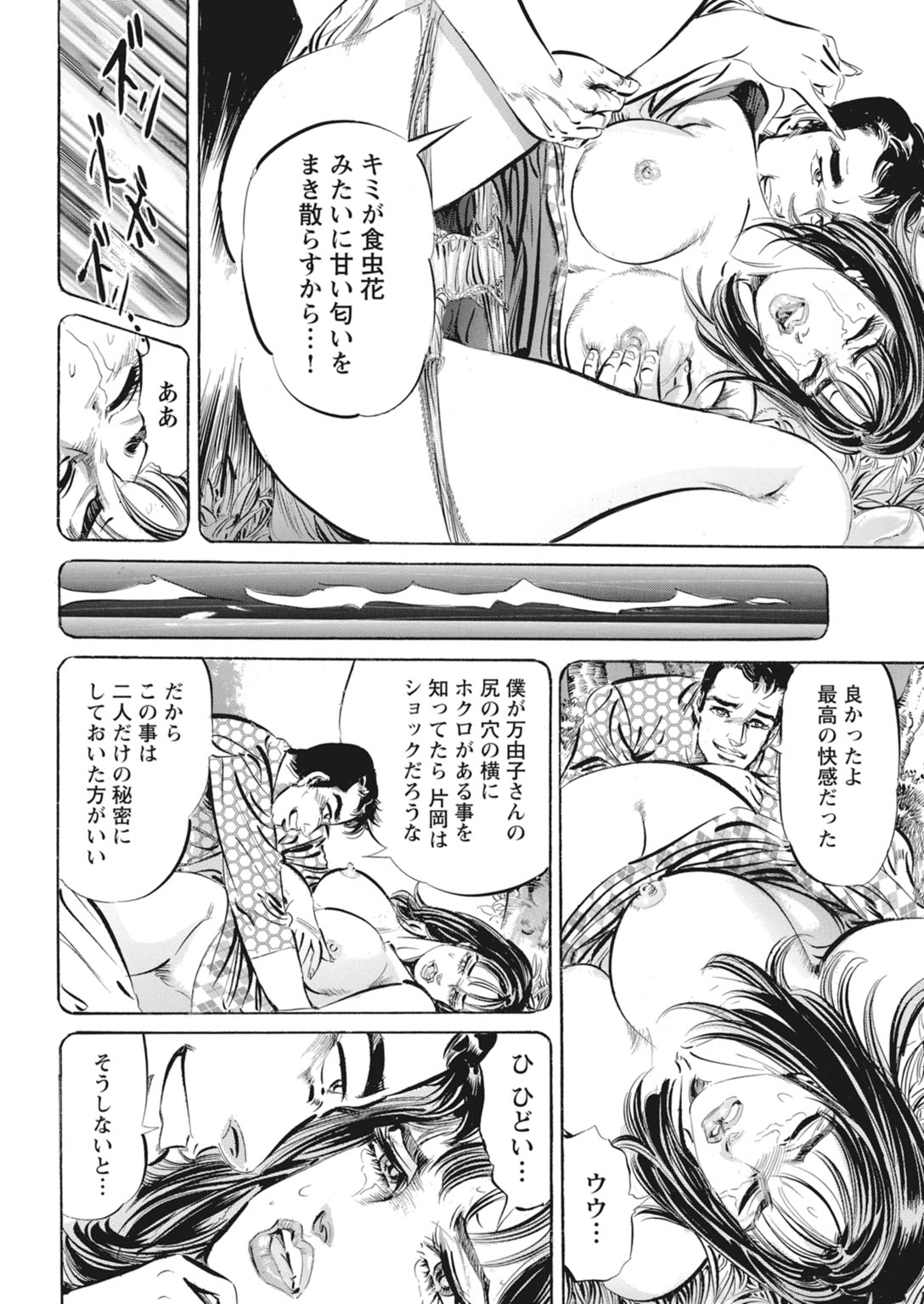 【DOKOU Tetsumi 】The Fake Affair: A Fever of Forbidden Flesh[Digital] 이미지 번호 45