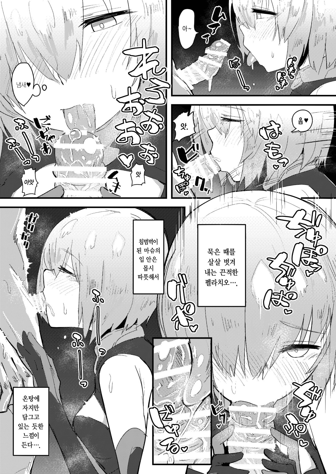 [Anon's Flood Myth (Anon 2-okunen)] MASH BON (Fate/Grand Order) [Korean] [Digital] изображение № 12