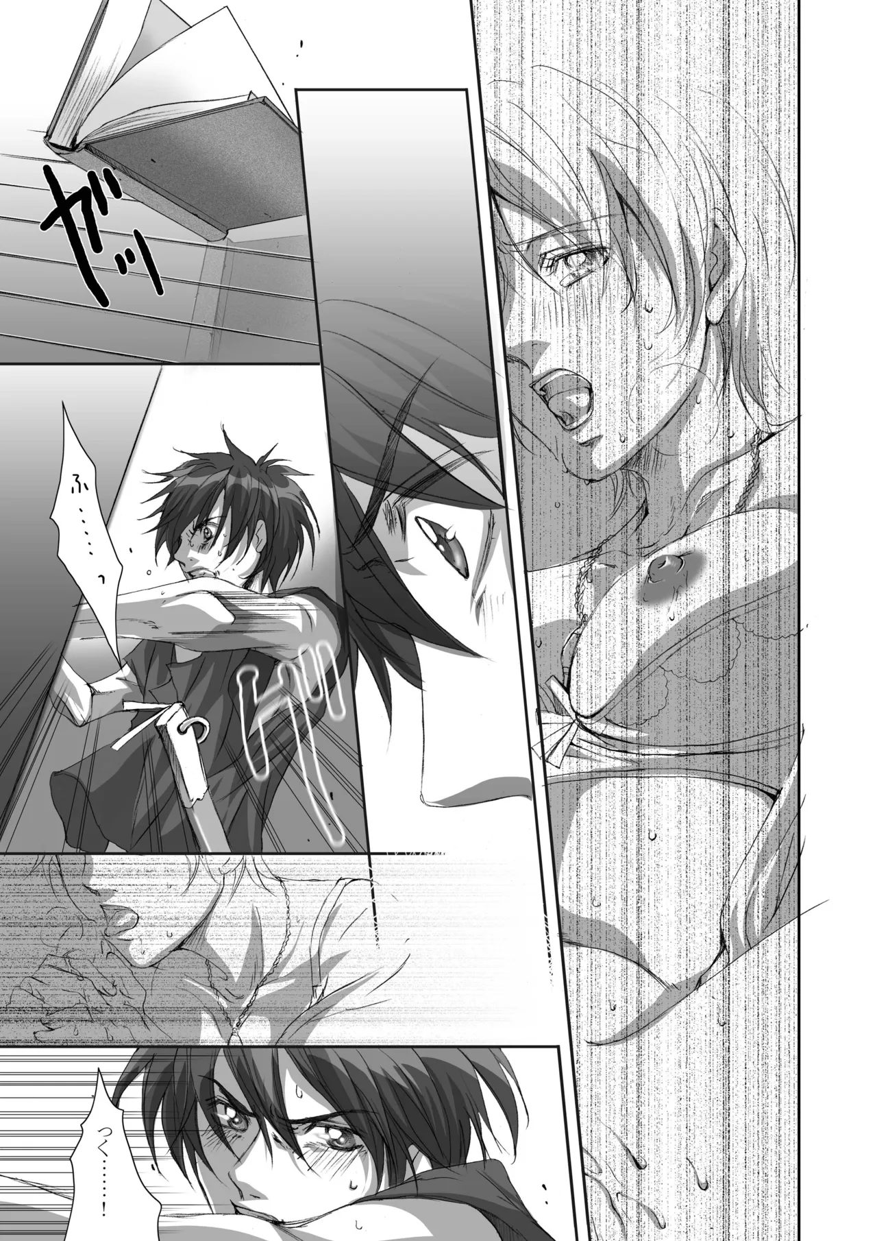 Kago no Tori 4 by Tajima Minato (Tenkuu no Escaflowne) image number 12