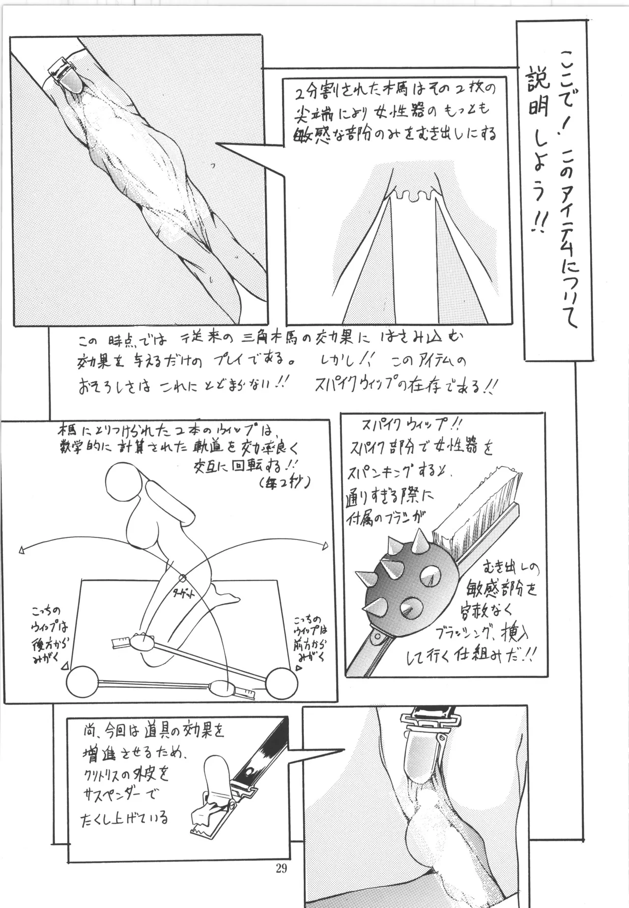 (C51) [アルゴラグニア (巫代凪遠)] 邪道王 (ファイターズインパクト) Bildnummer 29