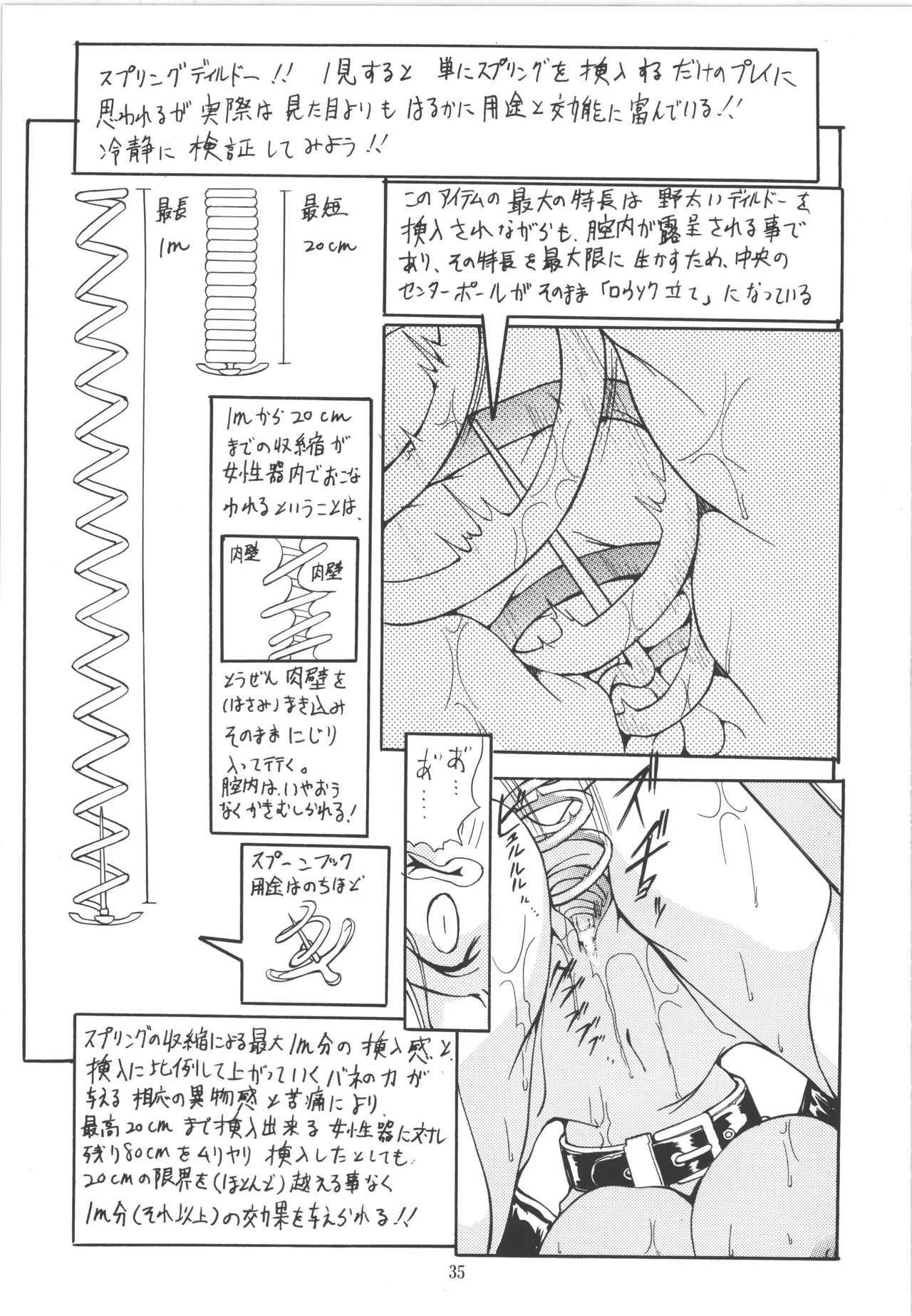 (C51) [アルゴラグニア (巫代凪遠)] 邪道王 (ファイターズインパクト) Bildnummer 35