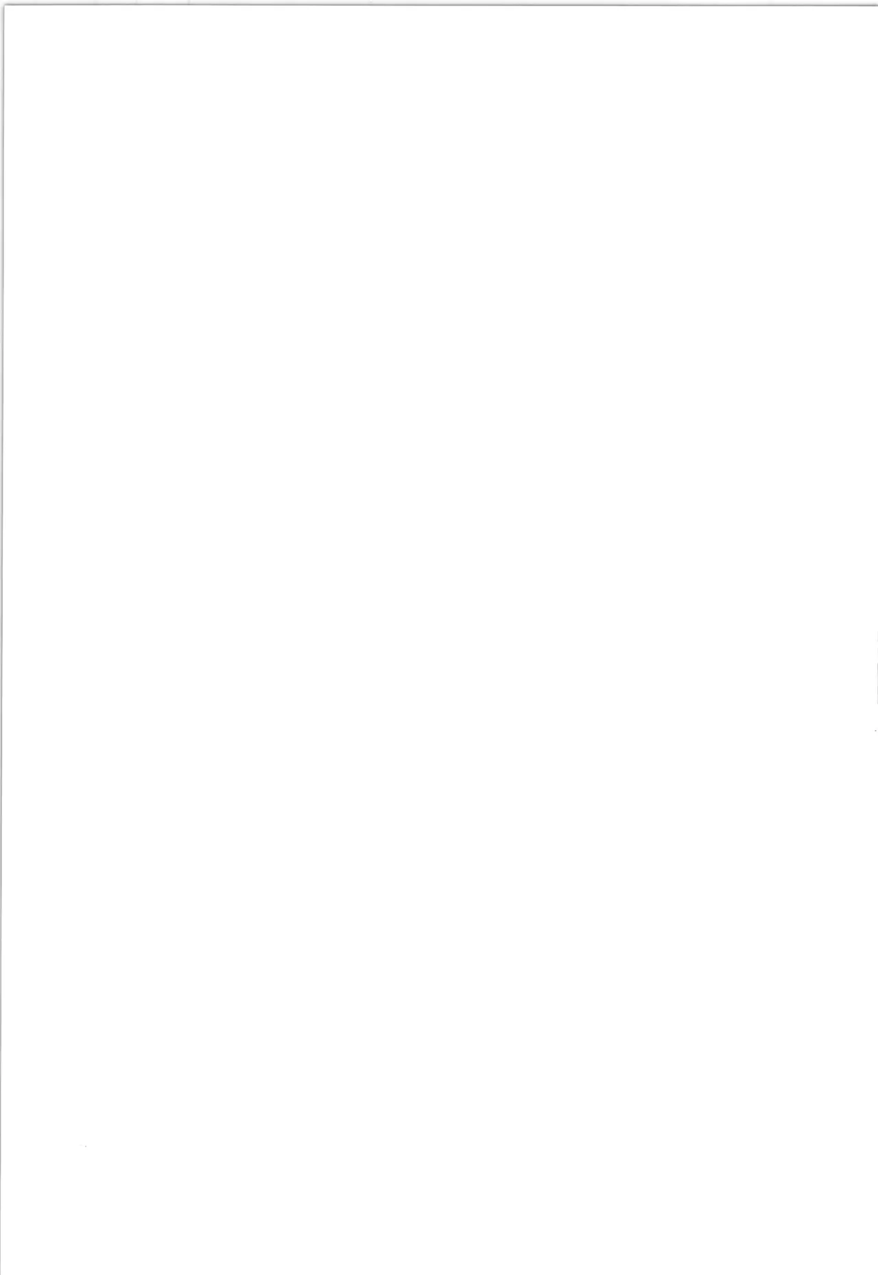 (C51) [アルゴラグニア (巫代凪遠)] 邪道王 (ファイターズインパクト) Bildnummer 67