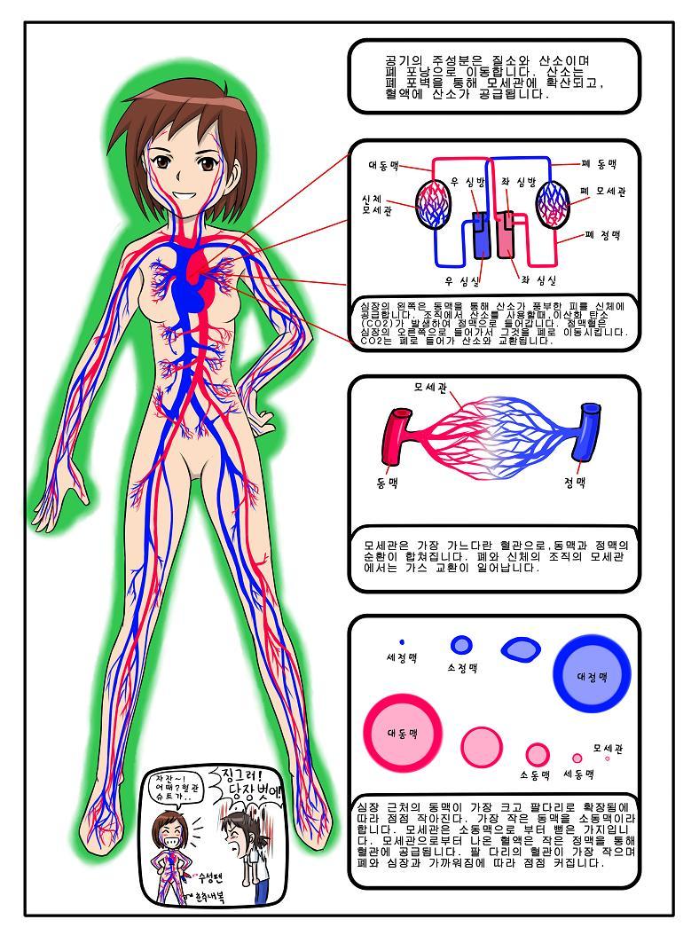 제니와 은지의 스쿠버 다이빙 배우기 이미지 번호 71
