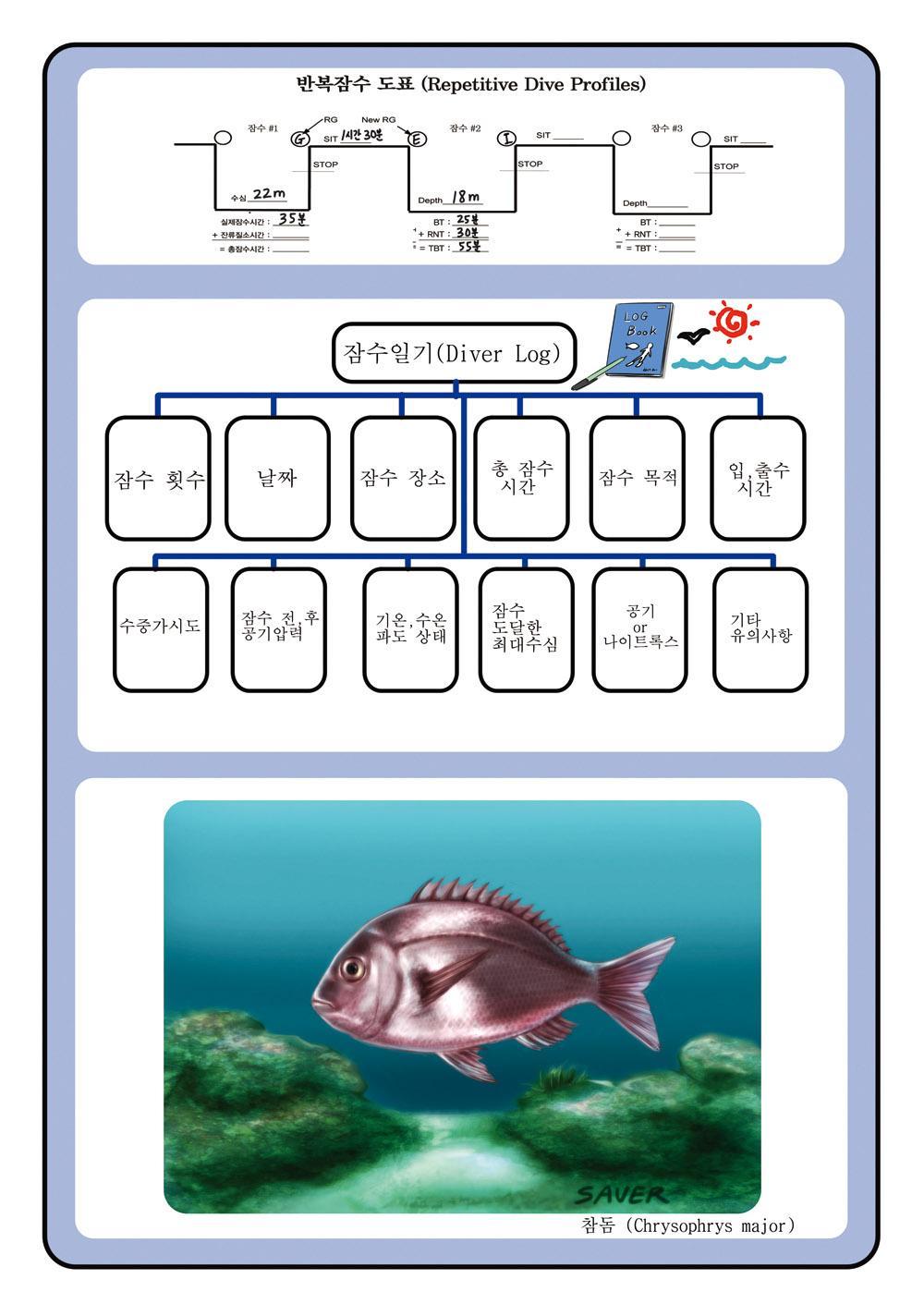 제니와 은지의 스쿠버 다이빙 배우기 이미지 번호 110