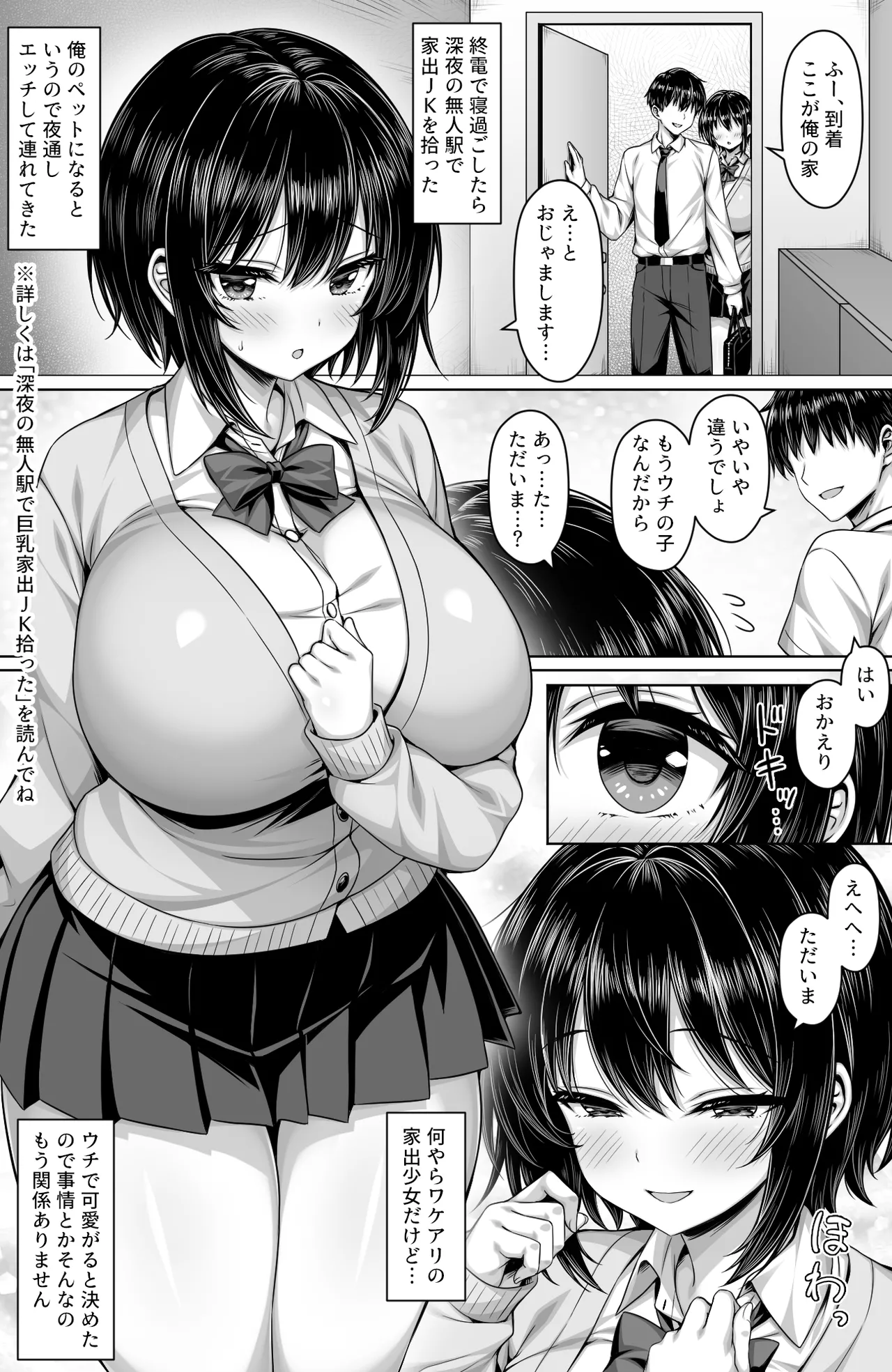 [一億万軒茶屋(2-G)] 深夜の無人駅で拾った巨乳家出JKの飼い主の日常 图片编号 2