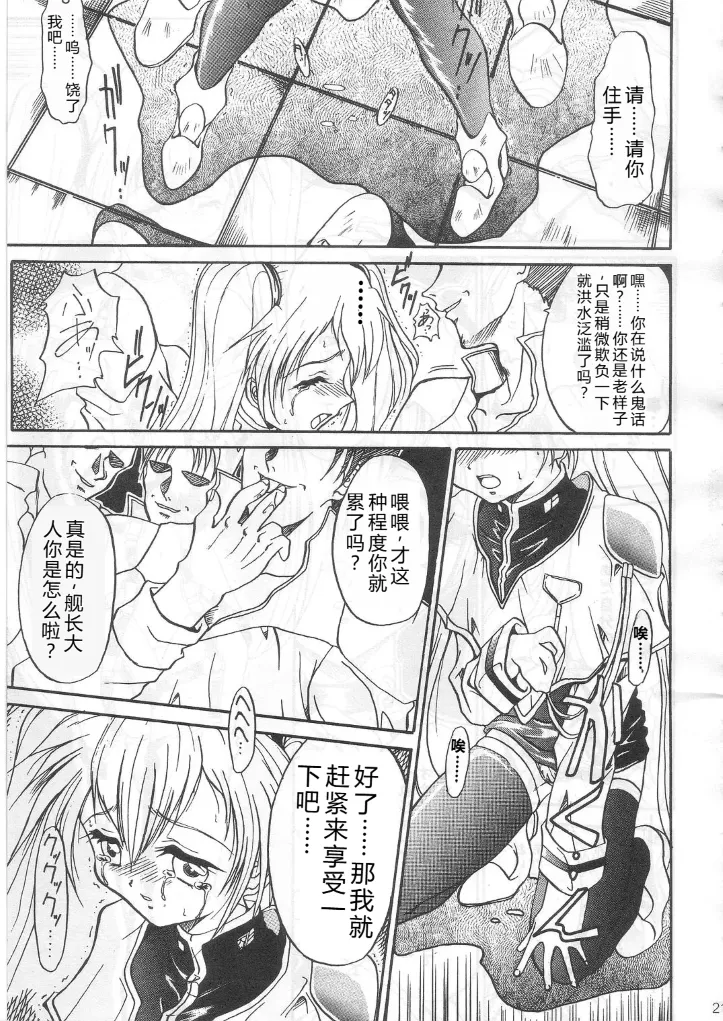 SOILDS ARCHIVE1 叛逆个人汉化 изображение № 20