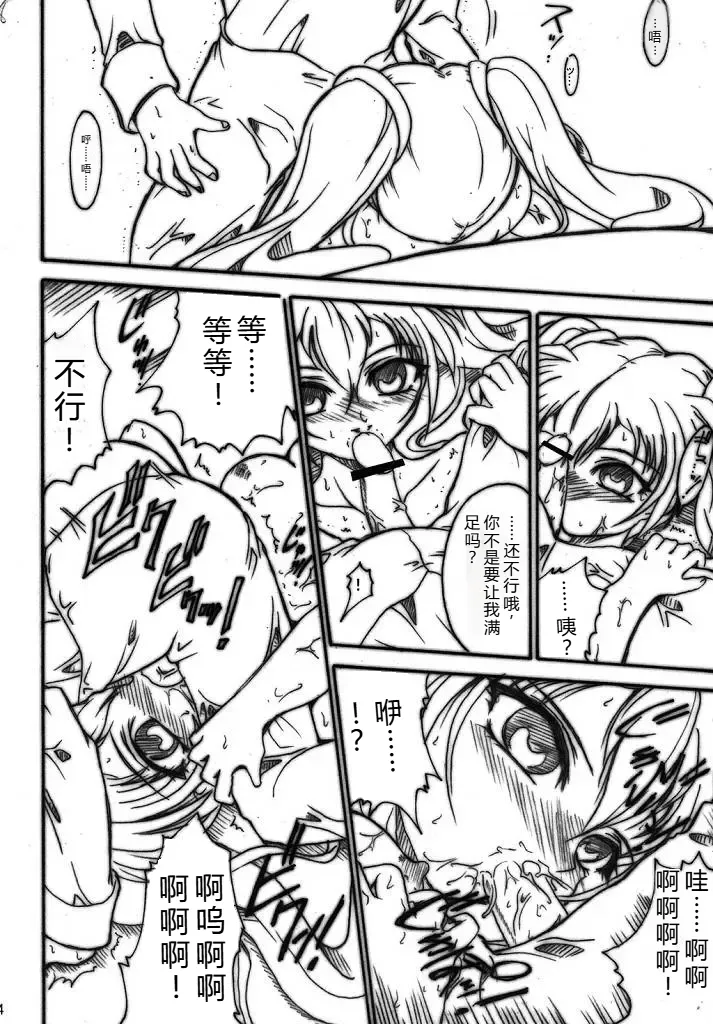 (SC32) [TERRA DRIVE (Teira)] SOLID STATE archive 2 (Martian Successor Nadesico) [Chinese] [叛逆个人汉化] 画像番号 74