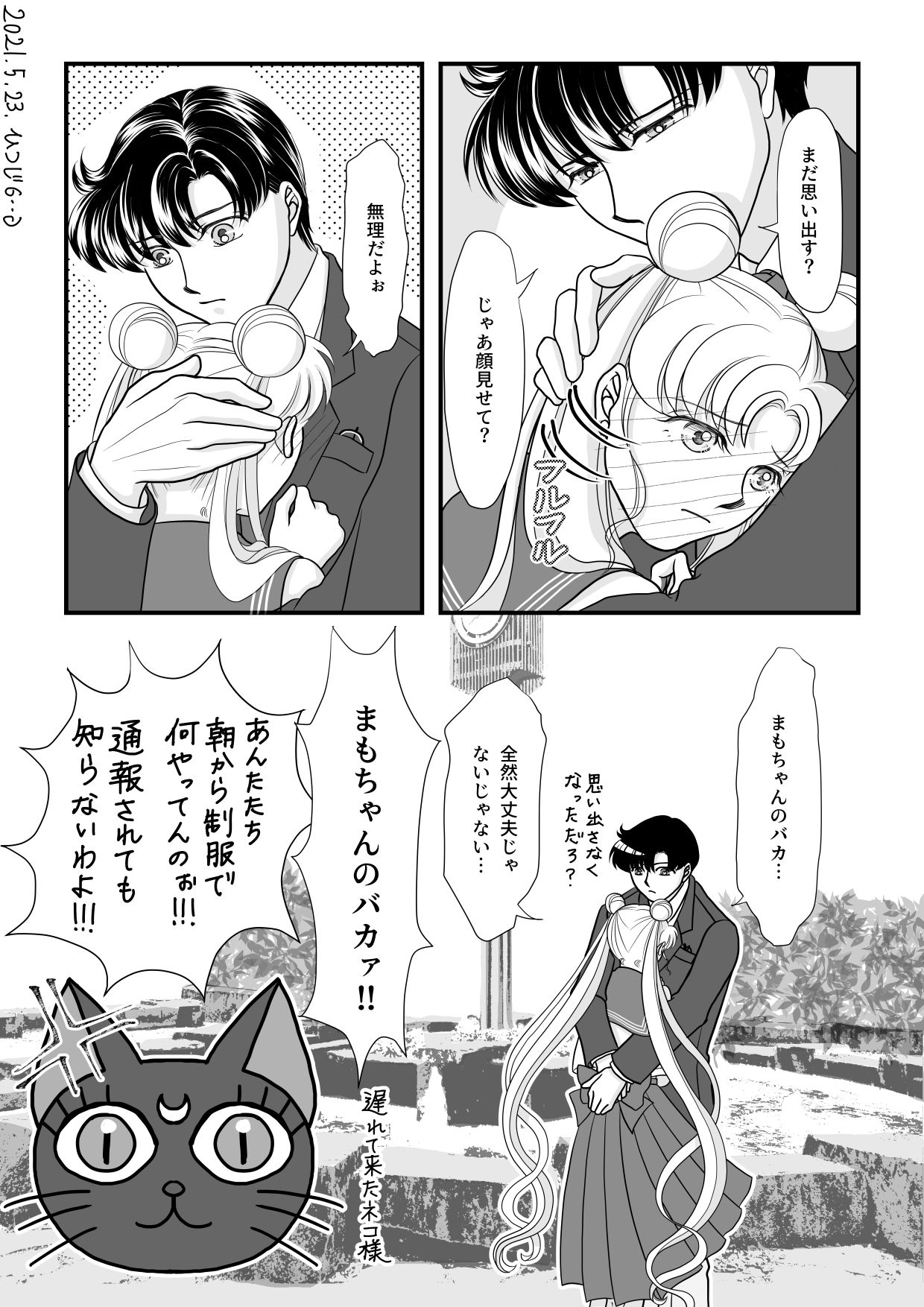 [Hitsuji] [Crystal Jikuu] Eien dake ga Futari o Kaketa node (Bishoujo Senshi Sailor Moon) 画像番号 11