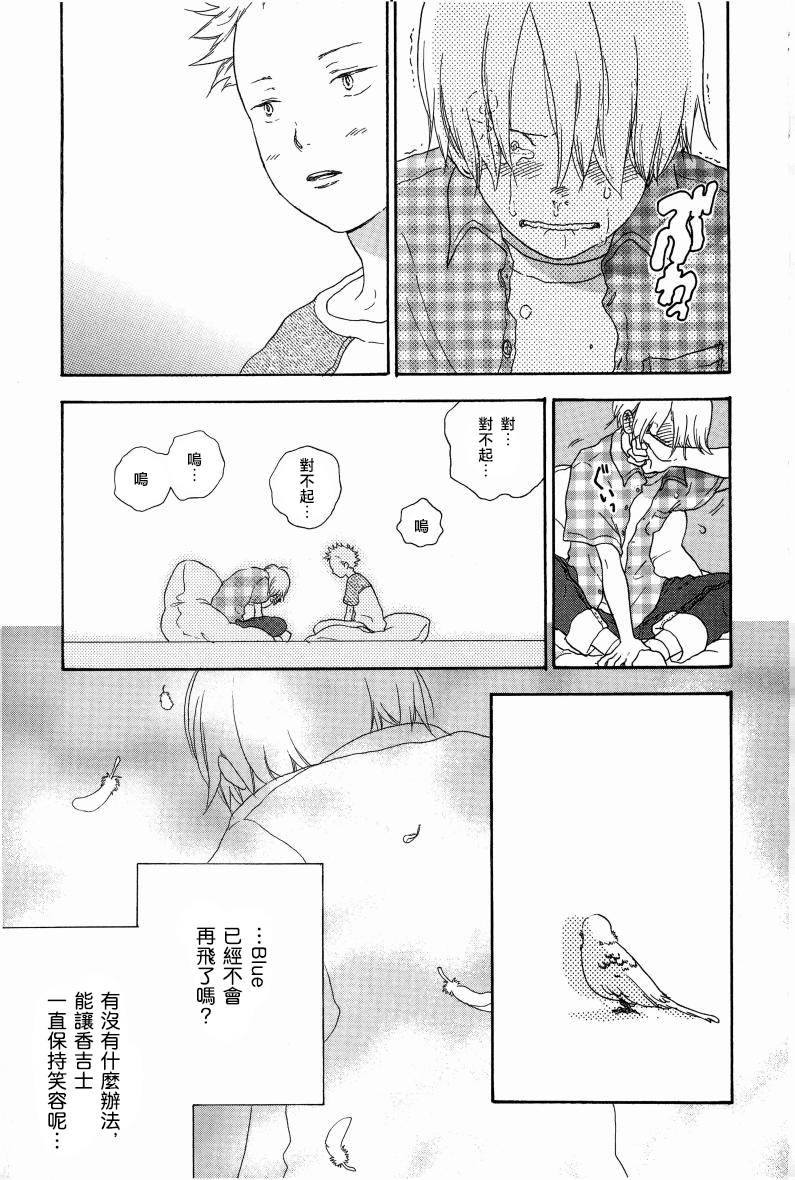 ギンガムチェック・ベイビースターズ numero di immagine  3