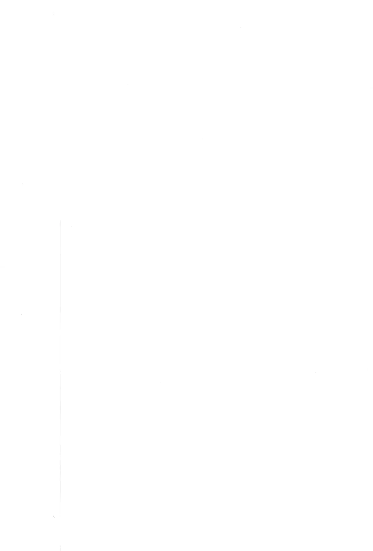 (C107) [T-NORTH (Matsumoto Mitohi.)] TS tensei erufu hime wa sazukaritai 图片编号 33