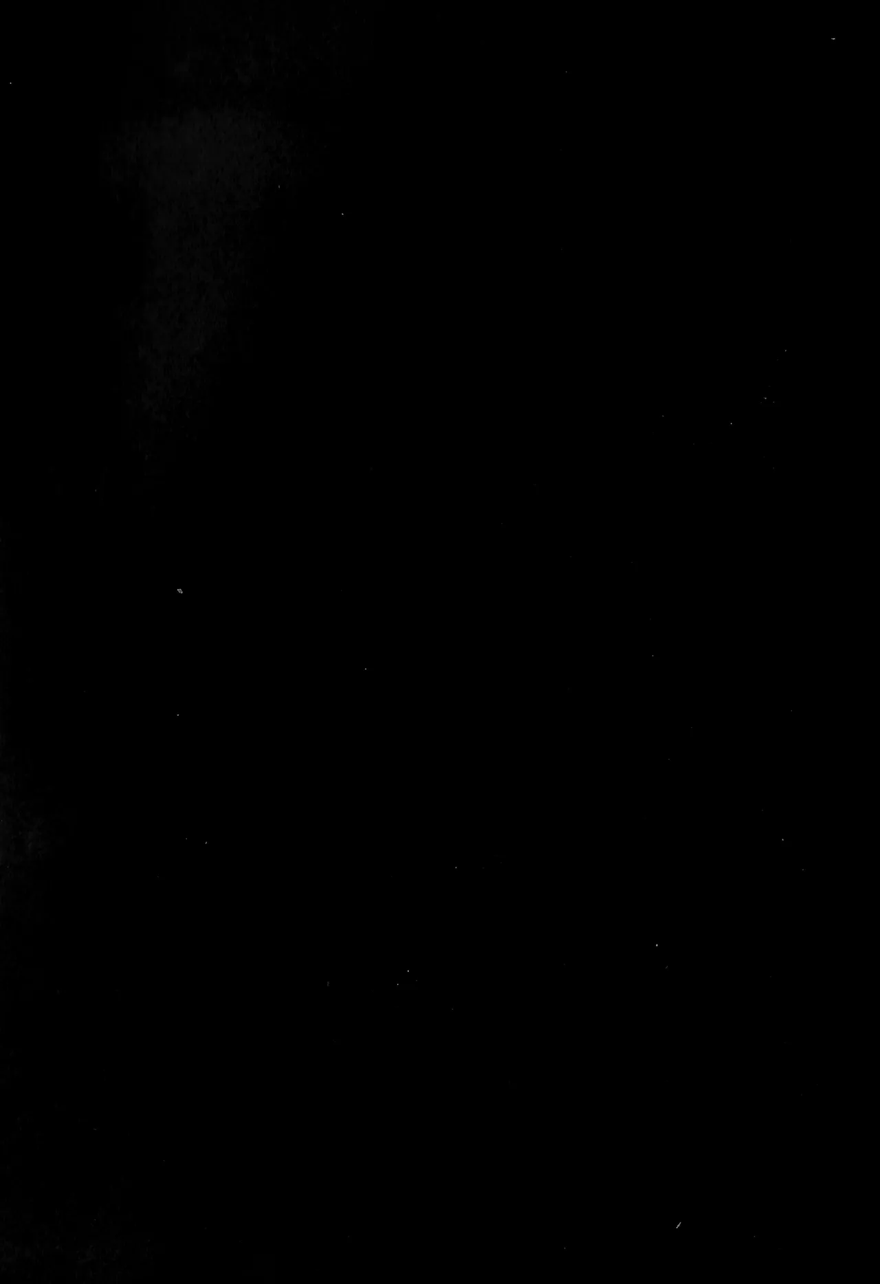 [Erika] El Desvanecer del Castigo Divino- Pokemon LEGENDS Arceus dj- Volo x Akari [Español] Dur image number 27