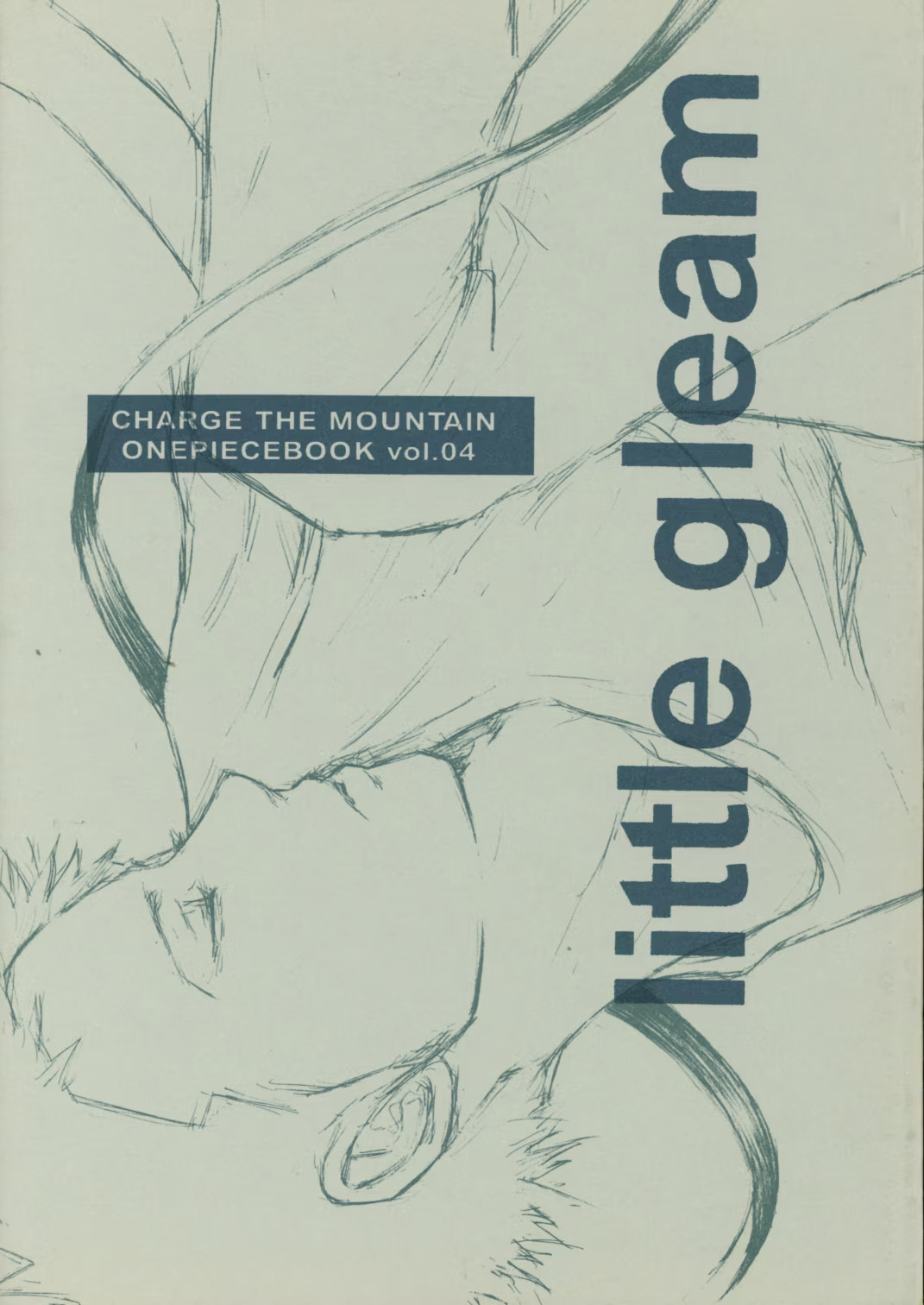 little gleam image number 1