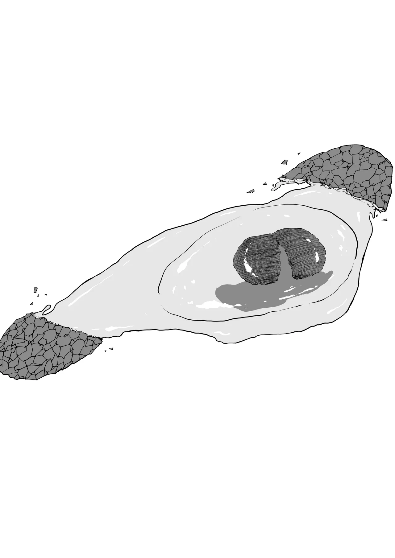 [Shioji] Dekkai Shiri no Hitozuma to Asa made Yarimakutta Hanashi | 극대 엉덩이 유부녀랑 아침까지 존나 떡친 이야기 [Korean] 图片编号 4