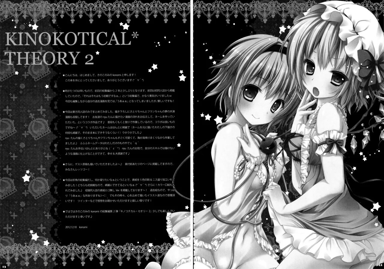 (C83) [KINOKONOMI (konomi)] KINOKOTICAL THEORY 2 (Touhou Project) 图片编号 12