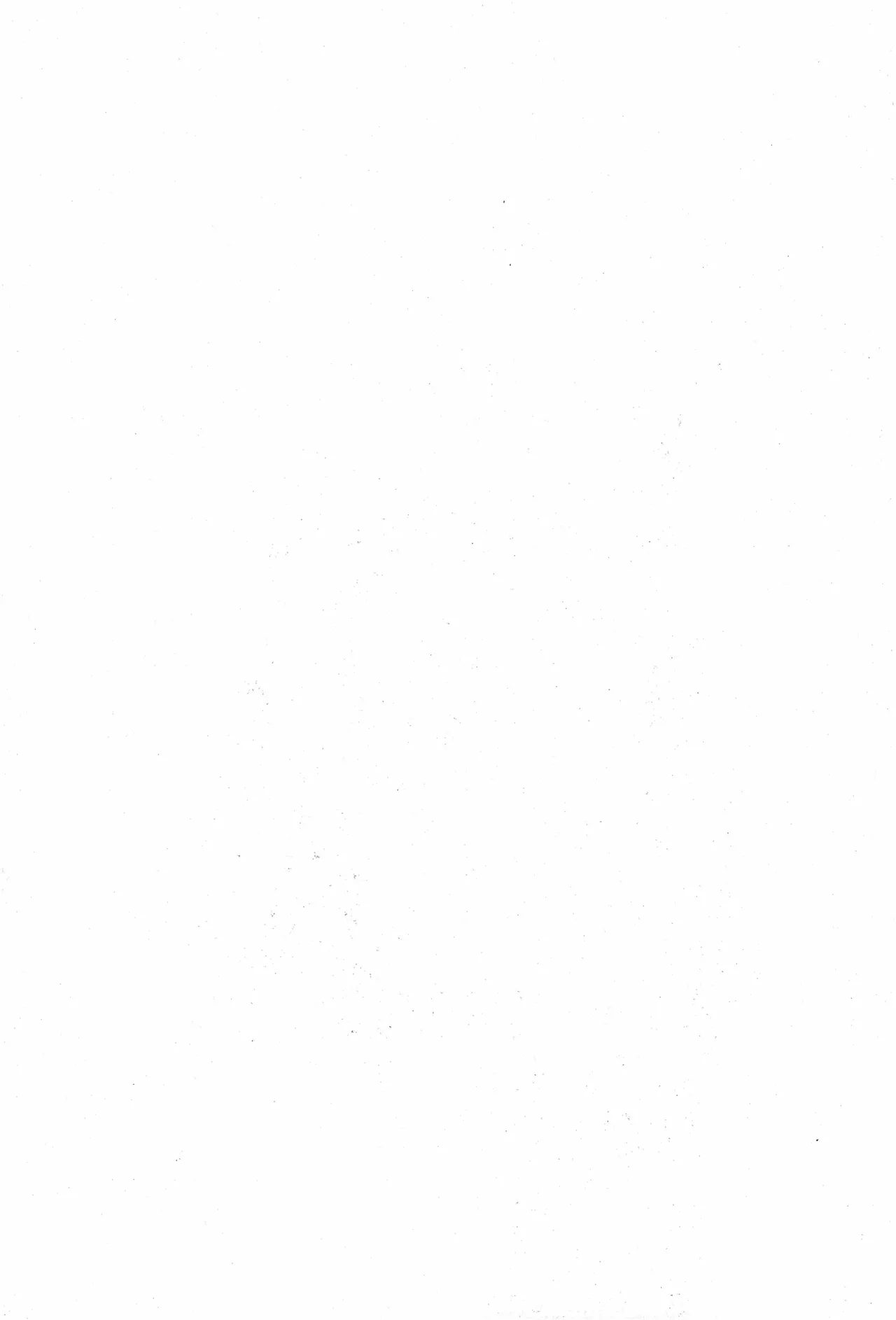 スロウ image number 28