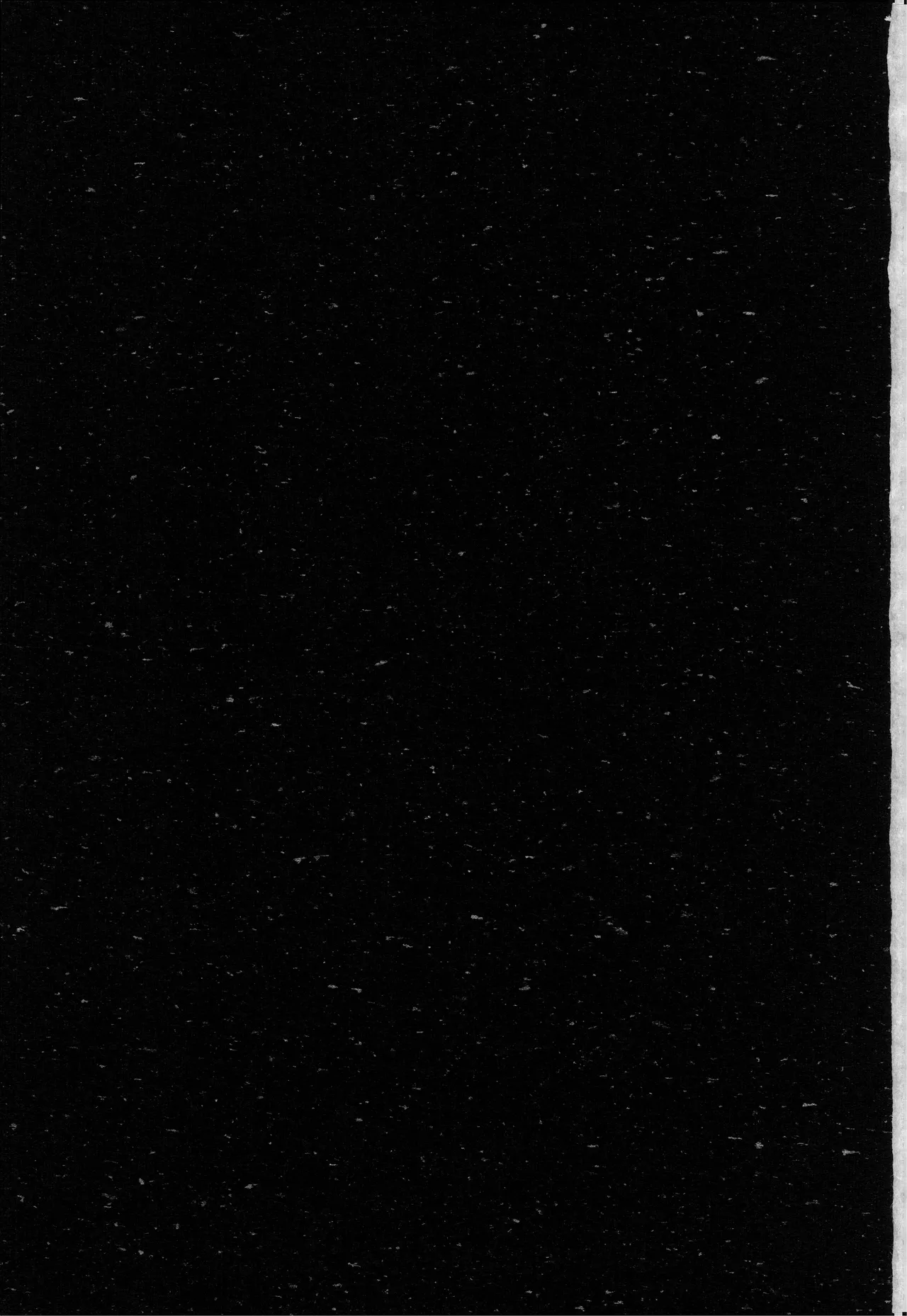 一番星 2eme image