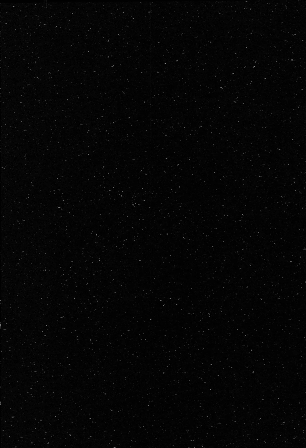 一番星 3eme image