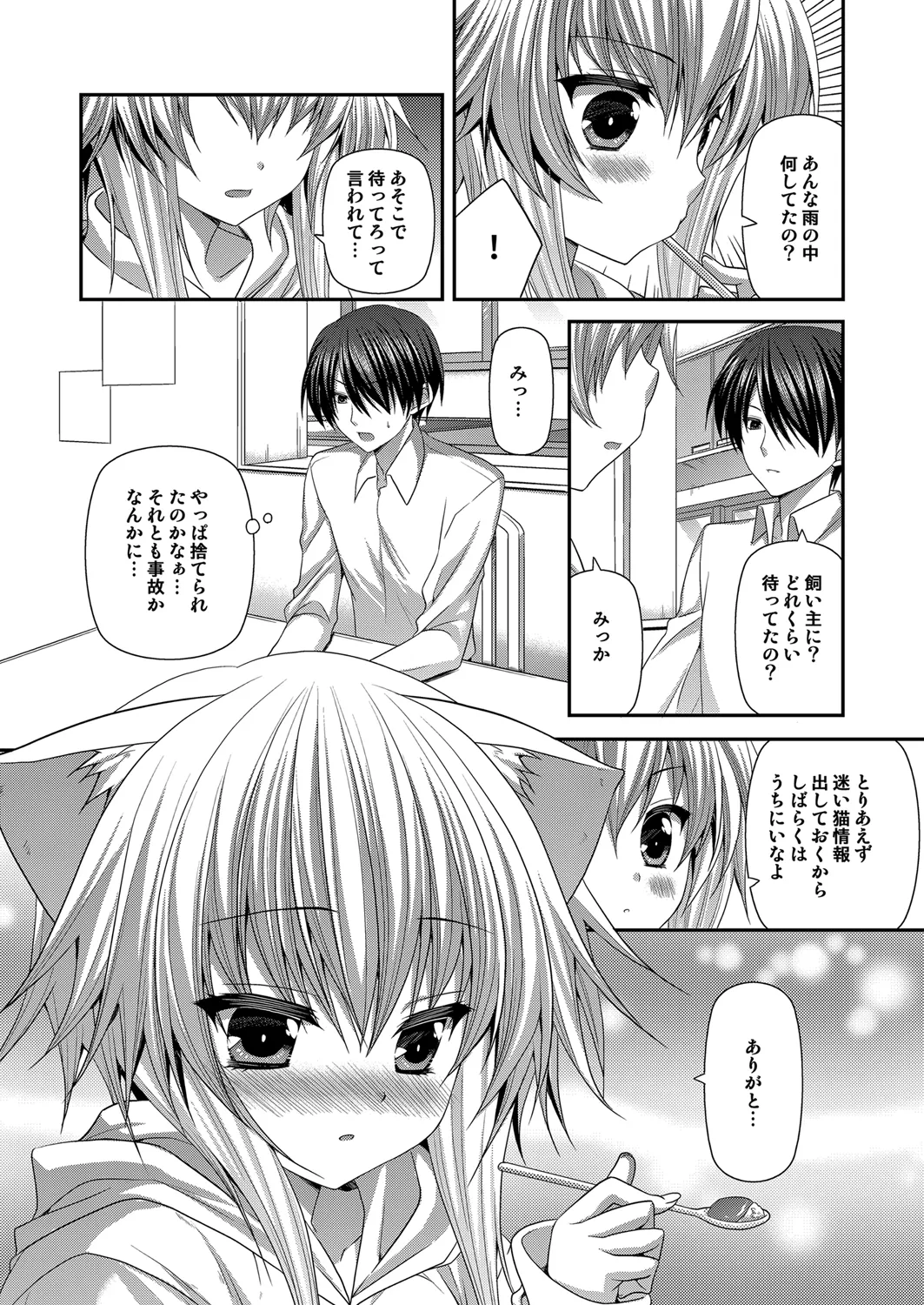 [ALMISM (Minatsuki Alumi)] Bitter na Coffee to Sugar na Milk Lonely Cat [Digital] 이미지 번호 5