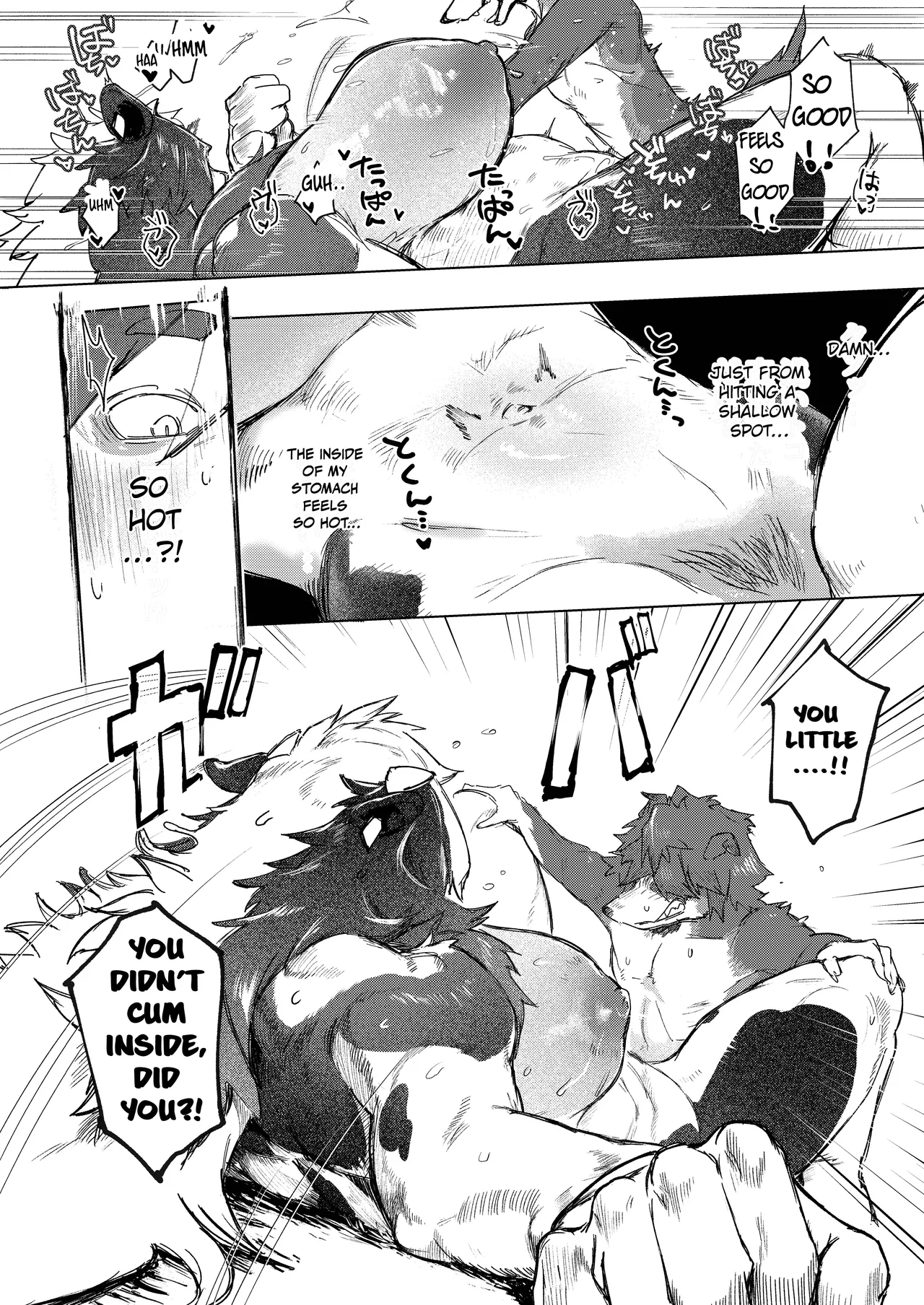 [URAGERI (Ura RENGA)]FROM FAR FARM [English] 图片编号 30