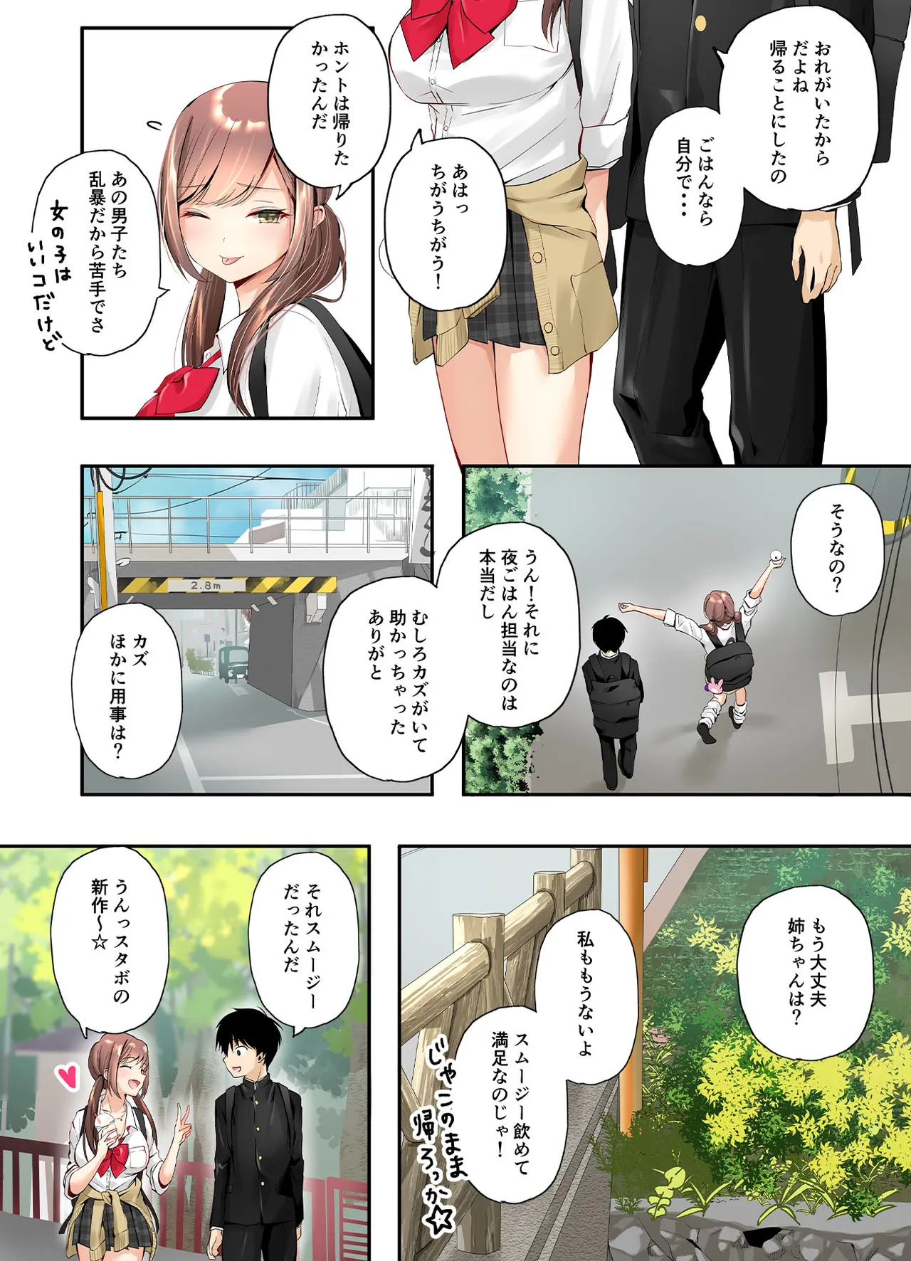 [Sen no Momo Koubou] Mitoke no Gal Ane wa Soboku na Otouto no Dotei ga Hoshii 图片编号 51