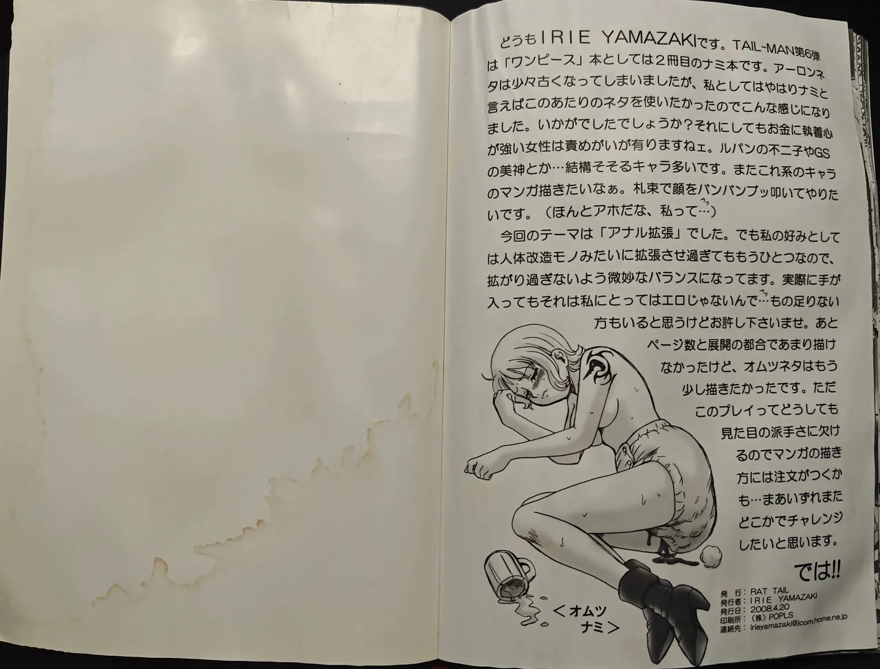 [RAT TAIL (IRIE YAMAZAKI)] TAIL-MAN NAMI BOOK (ワンピース) 22eme image