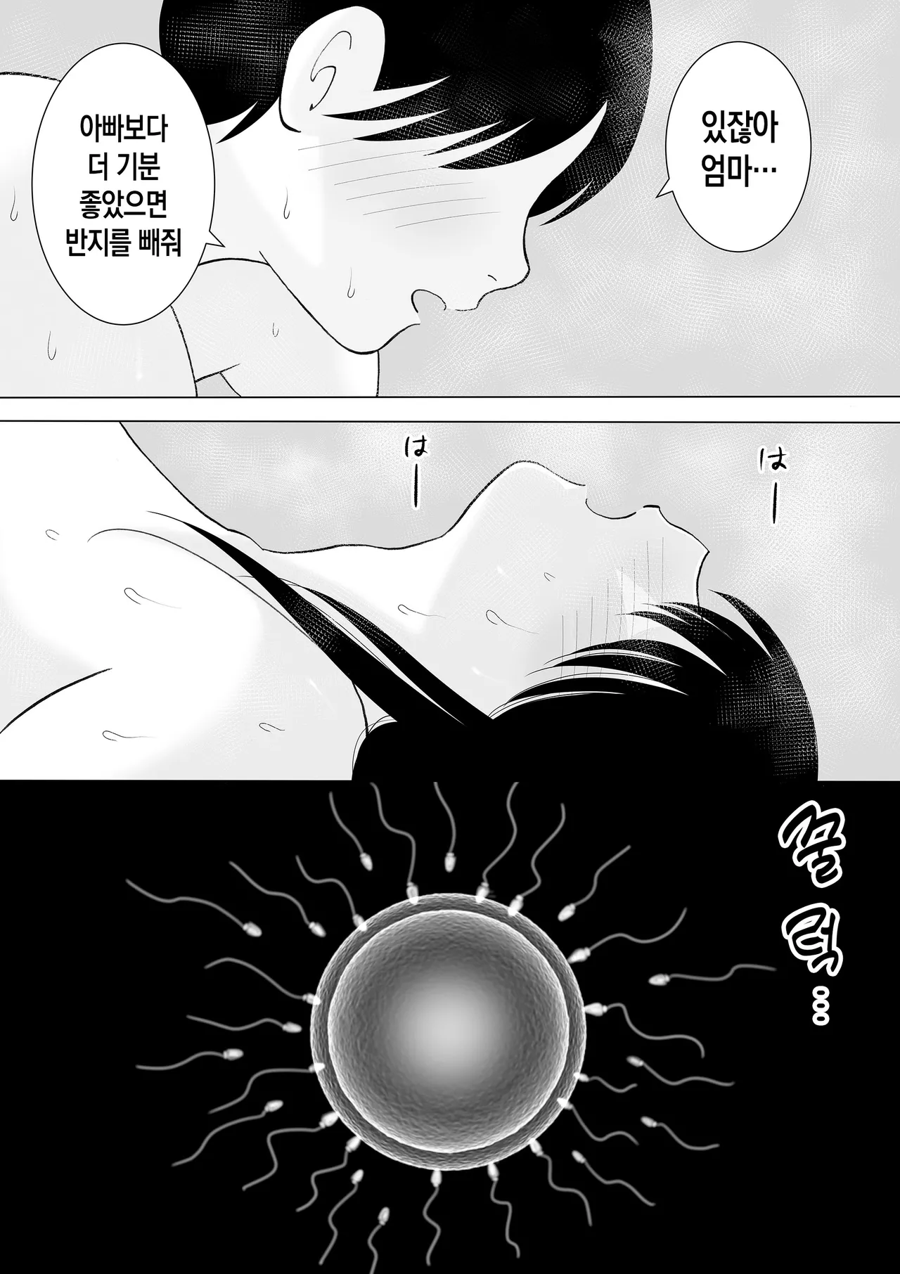 [Kenkyo sunao meteo] Seikou shita musuko to oshi ni yowai mama no nichijou | 첫 사정을 경험한 아들과 거절을 잘 못하는 엄마의 일상[Korean][팀 숙녀] 이미지 번호 17