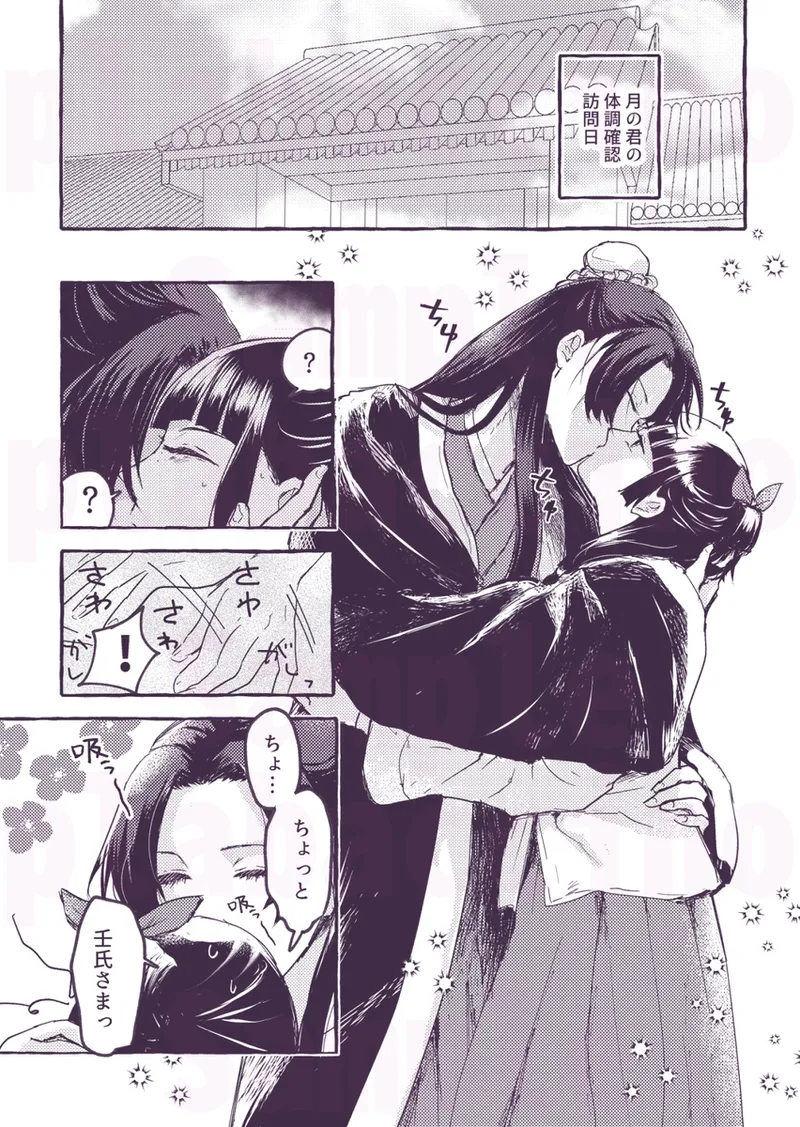 (   plabaccino ]Hojū ga sugiru) (Kusuriya no Hitorigoto] 이미지 번호 3