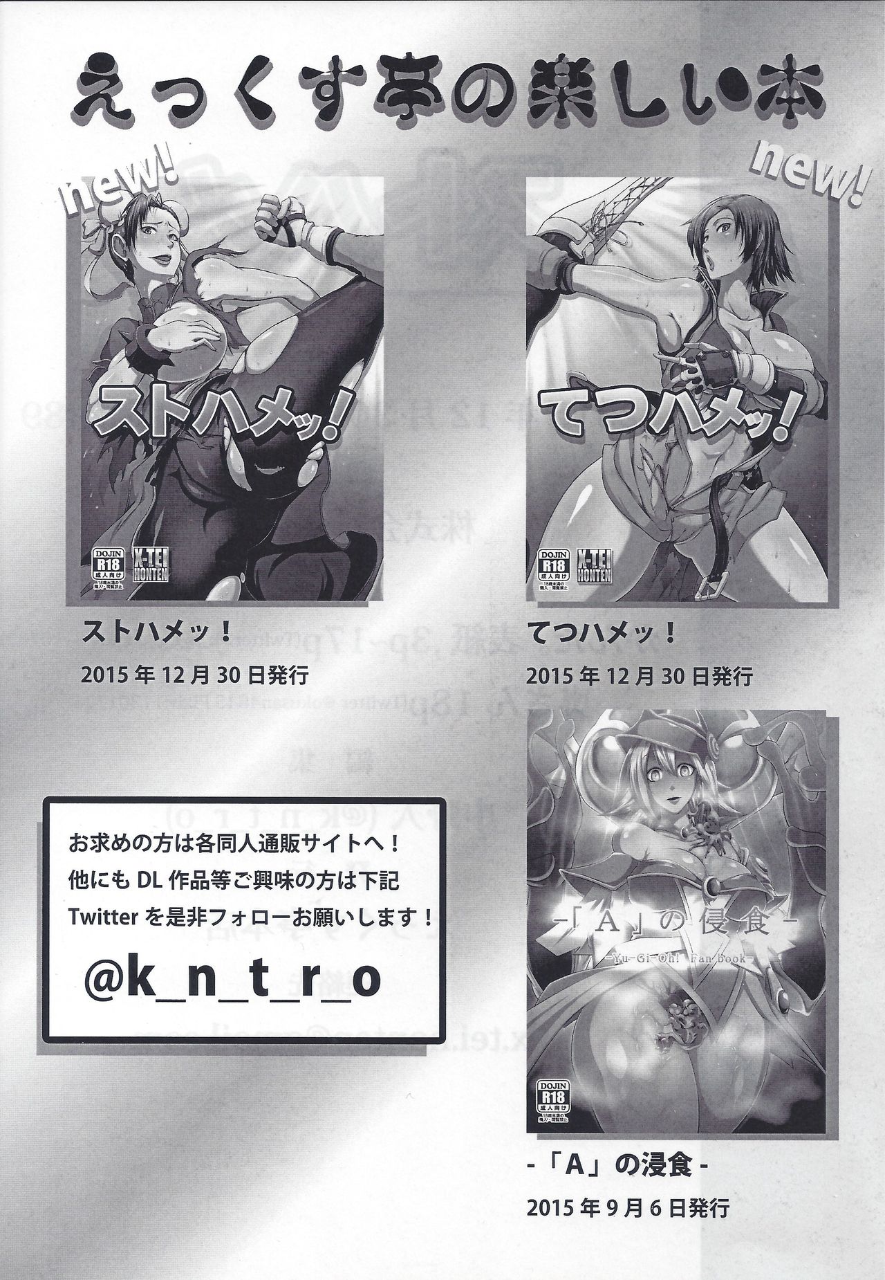 (C89) [X-tei (Kanta.)] St Hame! (Street Fighter) 画像番号 20