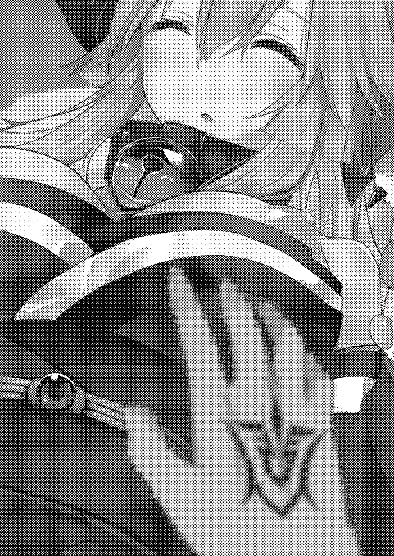 [Torihamu Holic (Yamamura Umi)] Muboubi Suimin Tamamo Cat - tamamocat is sleeping. (Fate/Grand Order) [Digital] изображение № 2