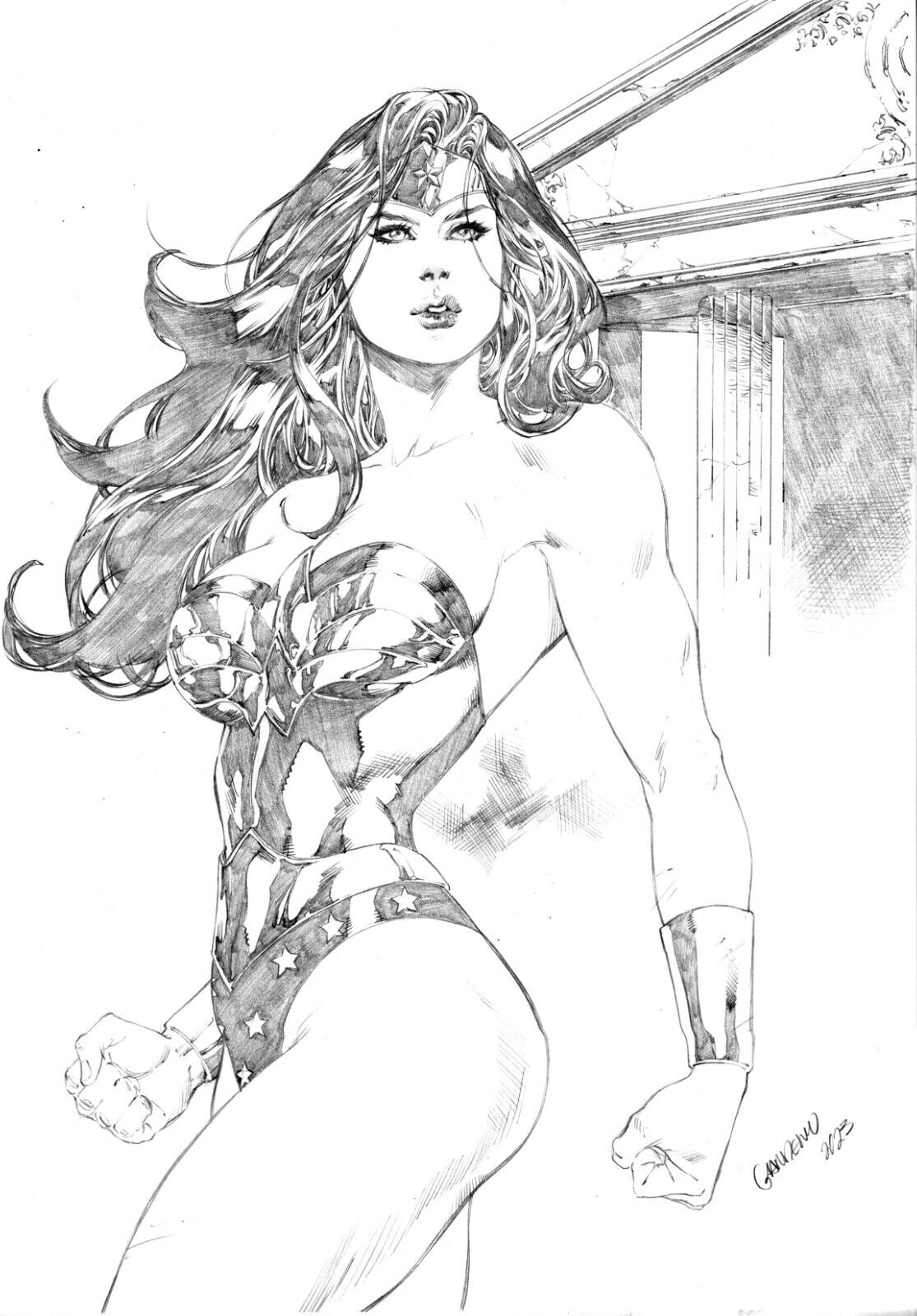 Wonder Woman selection by Gardenio Lima image number 3